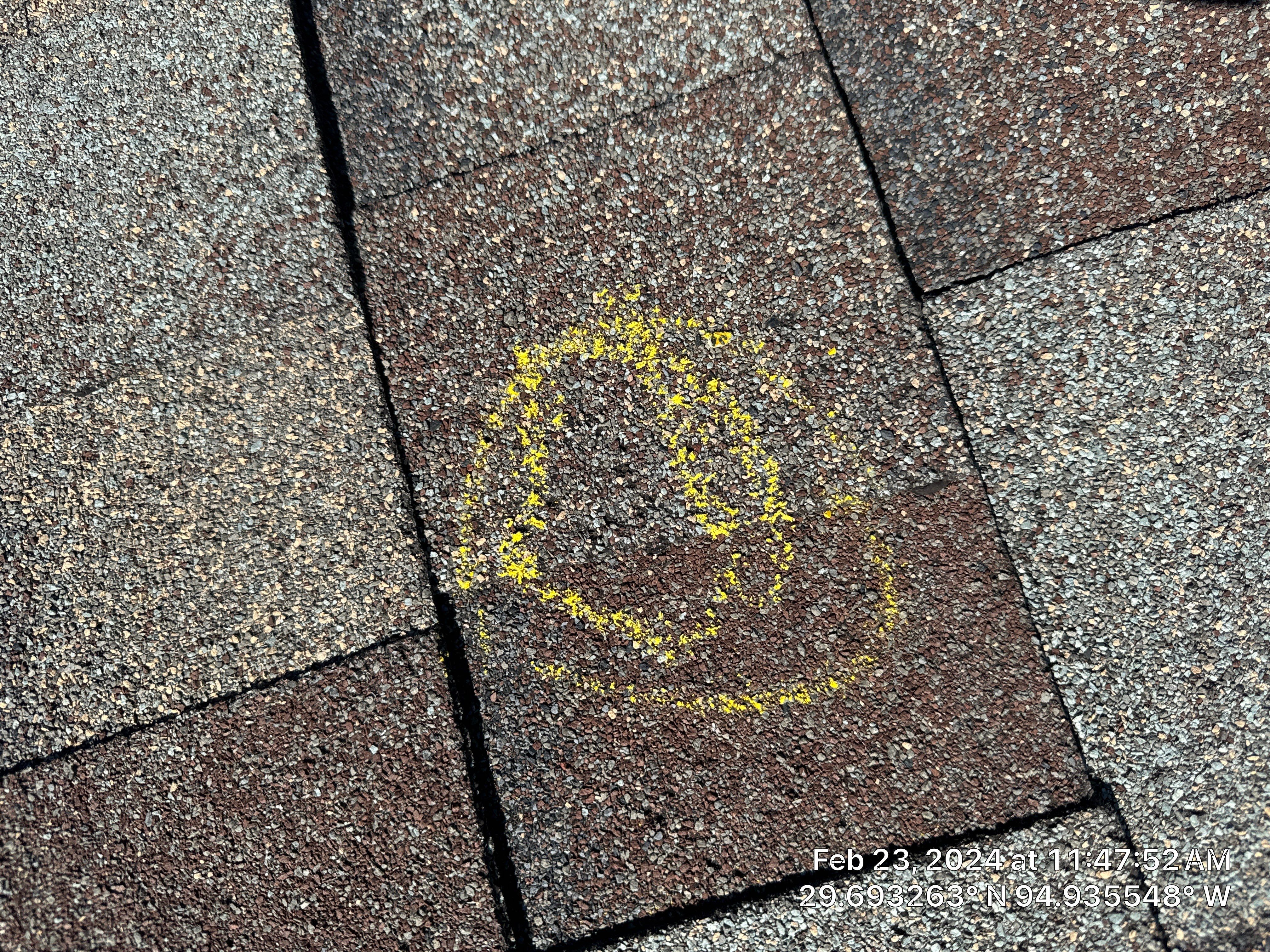 Hail Damage by Southern Belle