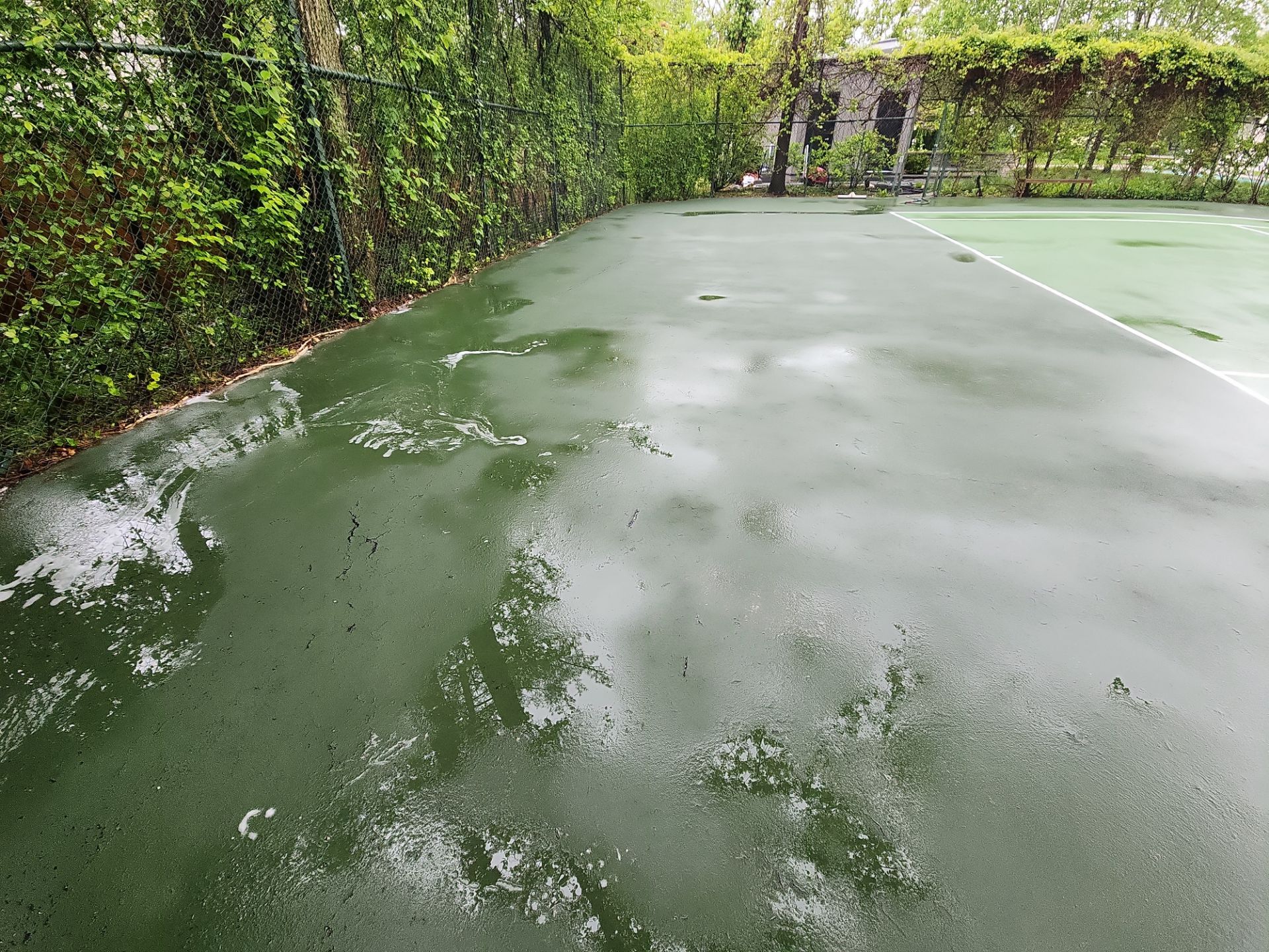 Tennis Court using Algaecide, soft wash soap by Northern Power Washing LLC.
