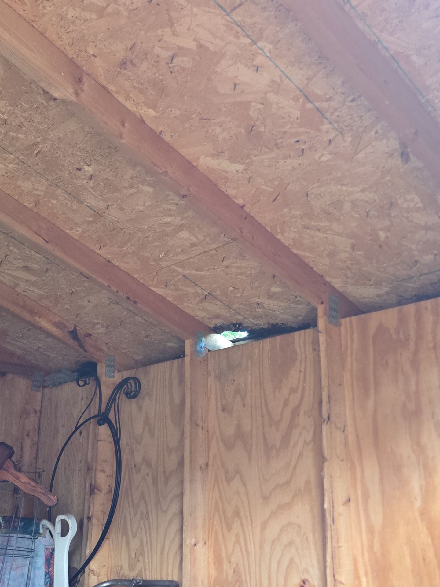 Shed Transformation – Roof & Exterior Upgrade by Johnny Five Construction 