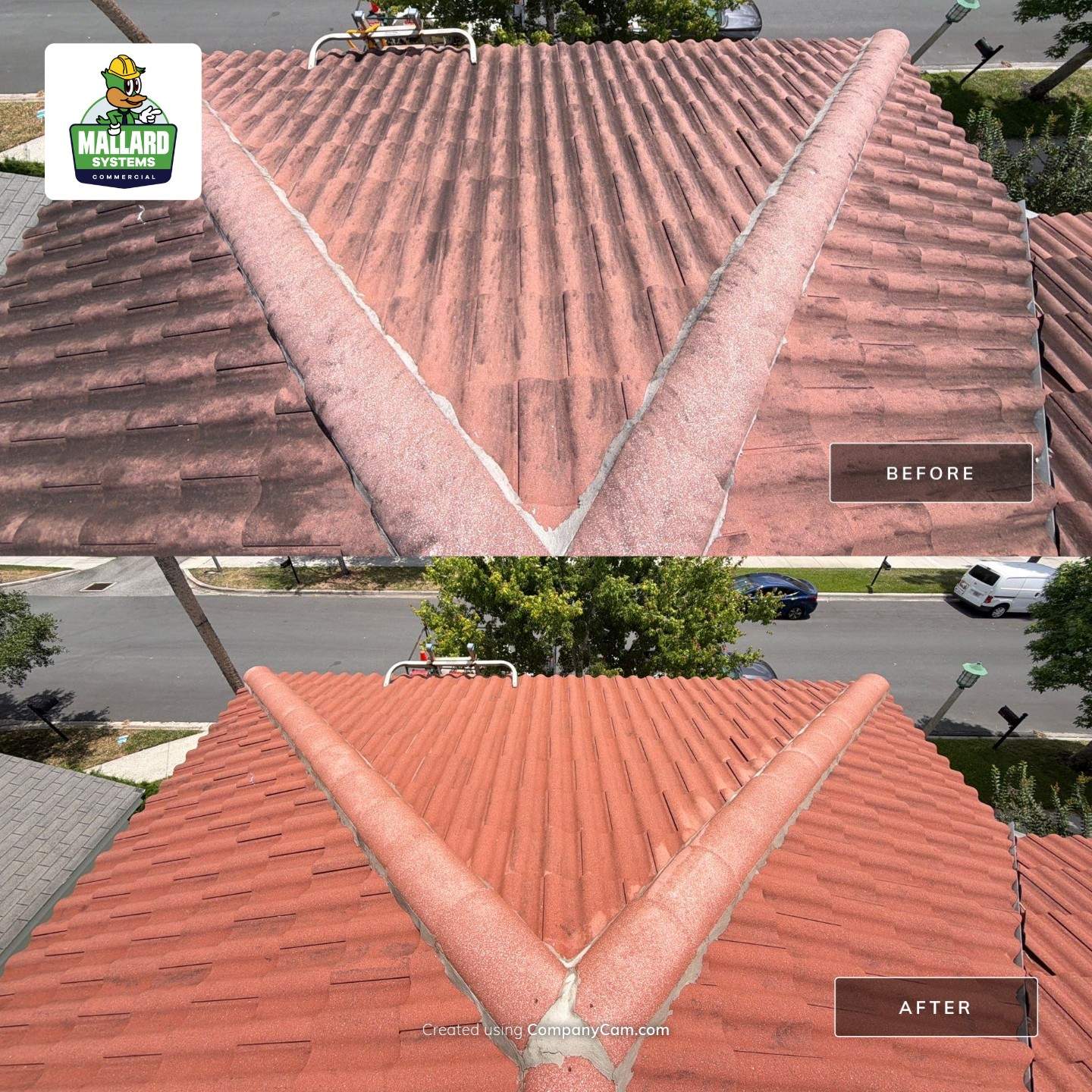 Tile Roof Cleaning in Celebration by Mallard Systems