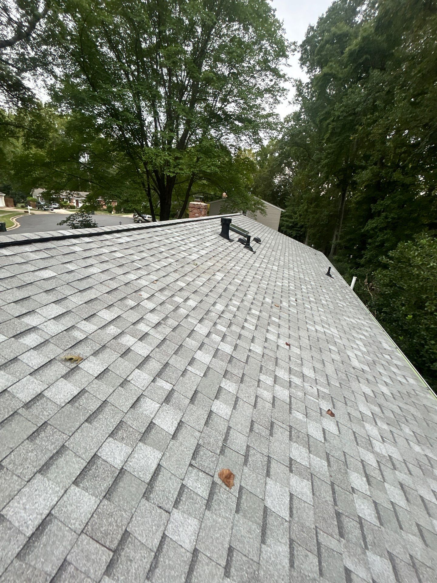 Springfield : with CertainTeed Landmark Pro in Max Def Cobblestone Gray  by RM Banning, Inc.