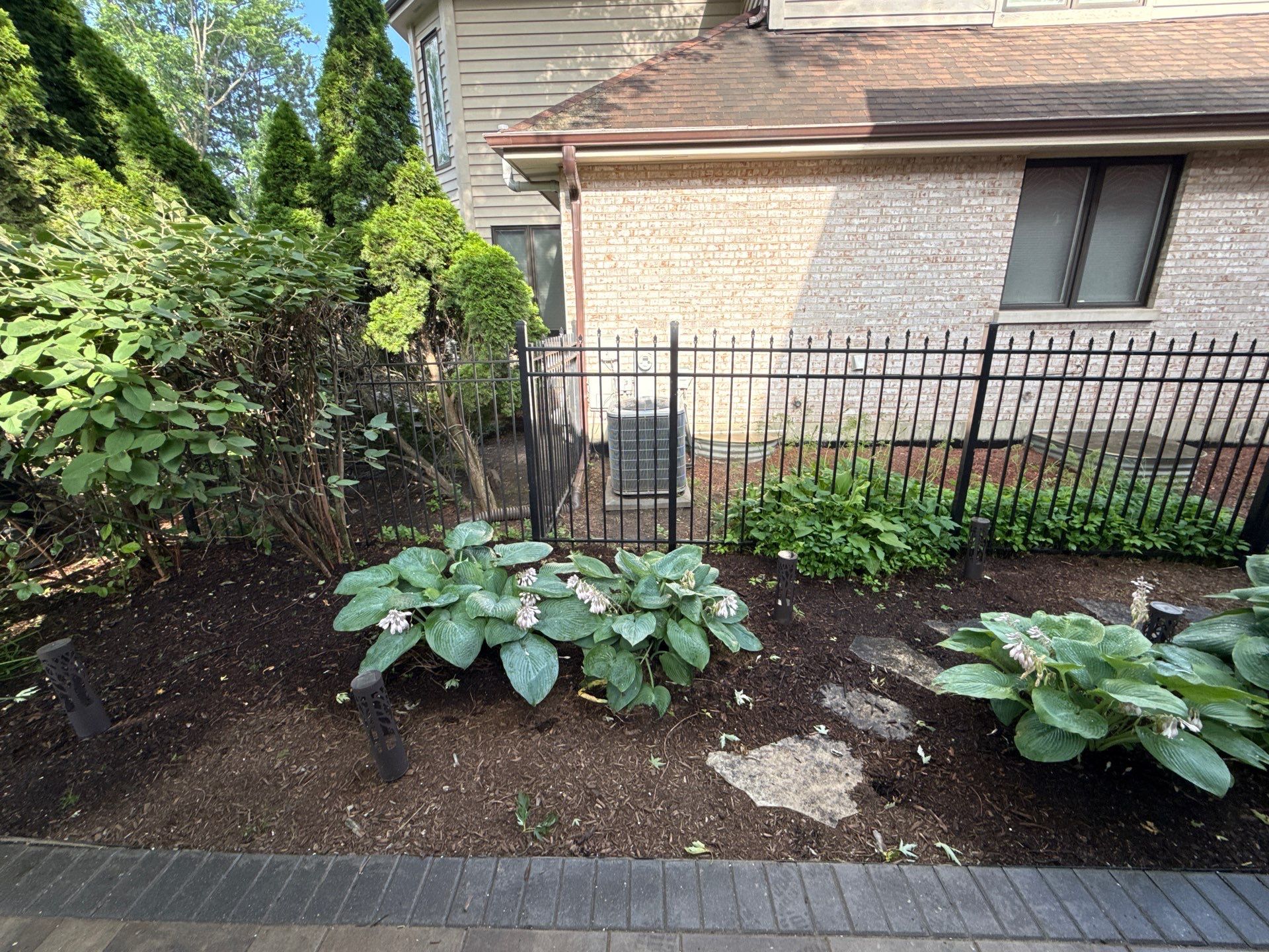Laura C. - Mount Prospect, IL by A&N 