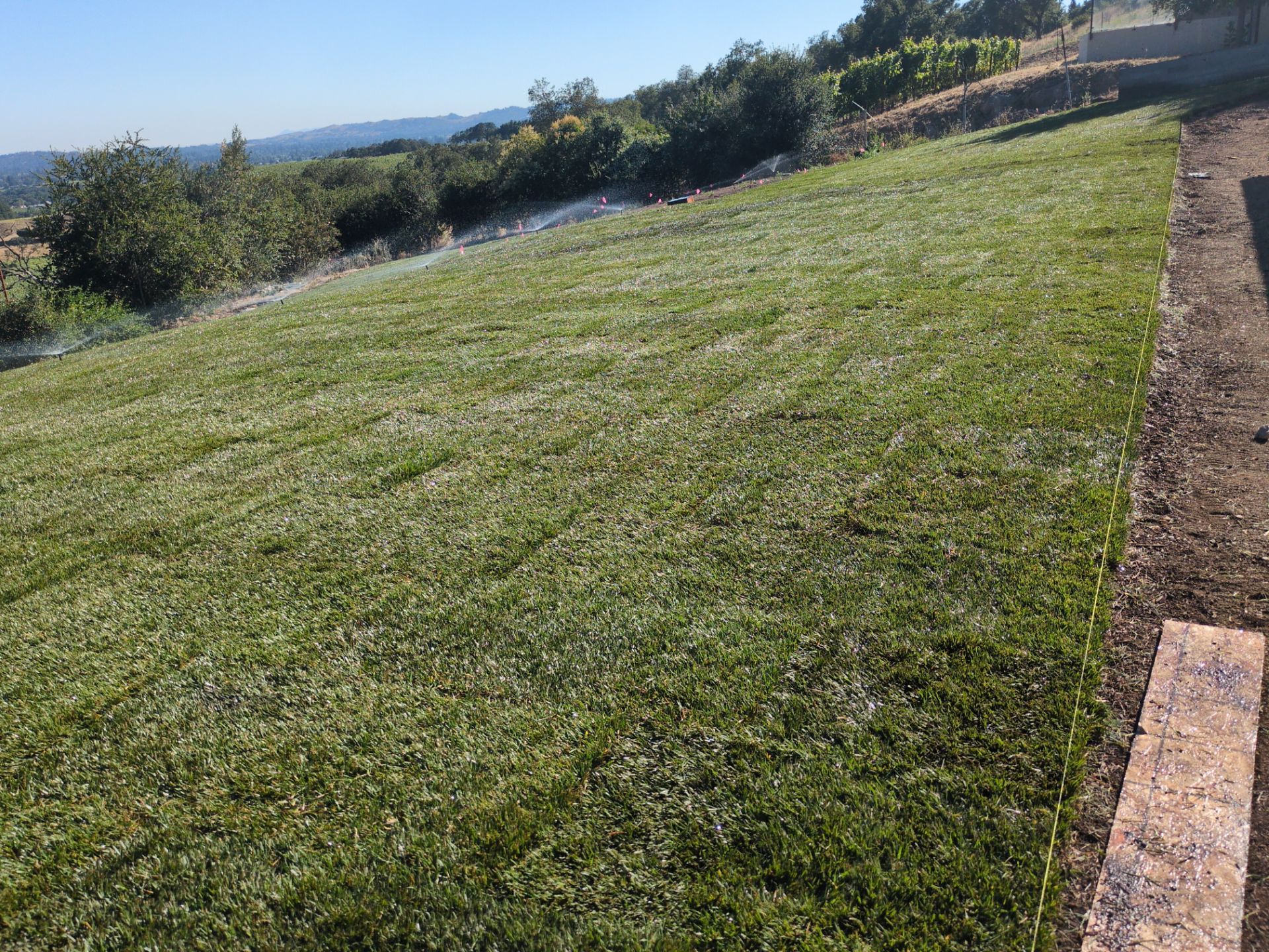 Project in Napa by A - G Sod Farms