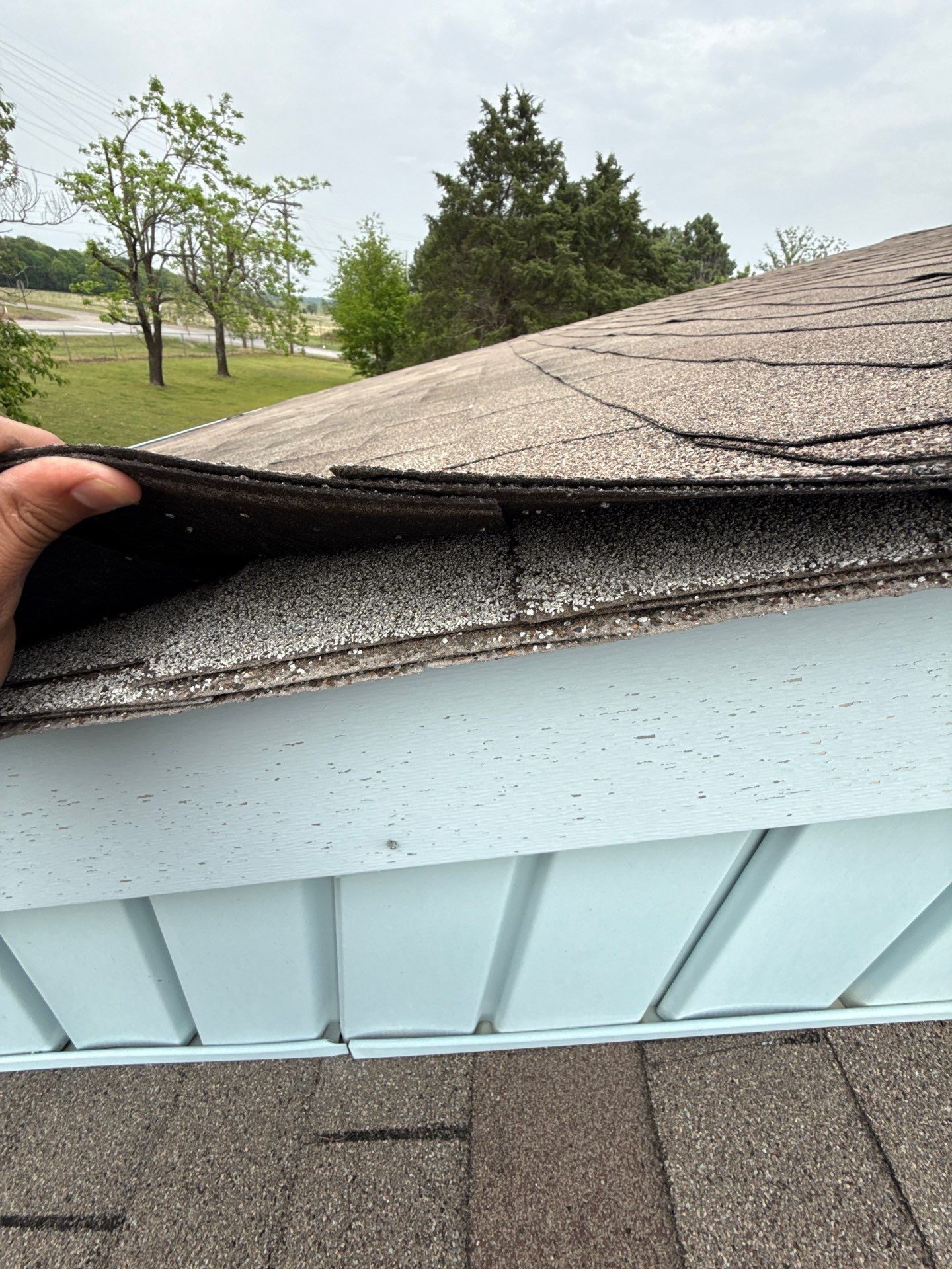 Roof replacement & Storm Door by In & Out Construction & Remodeling, LLC