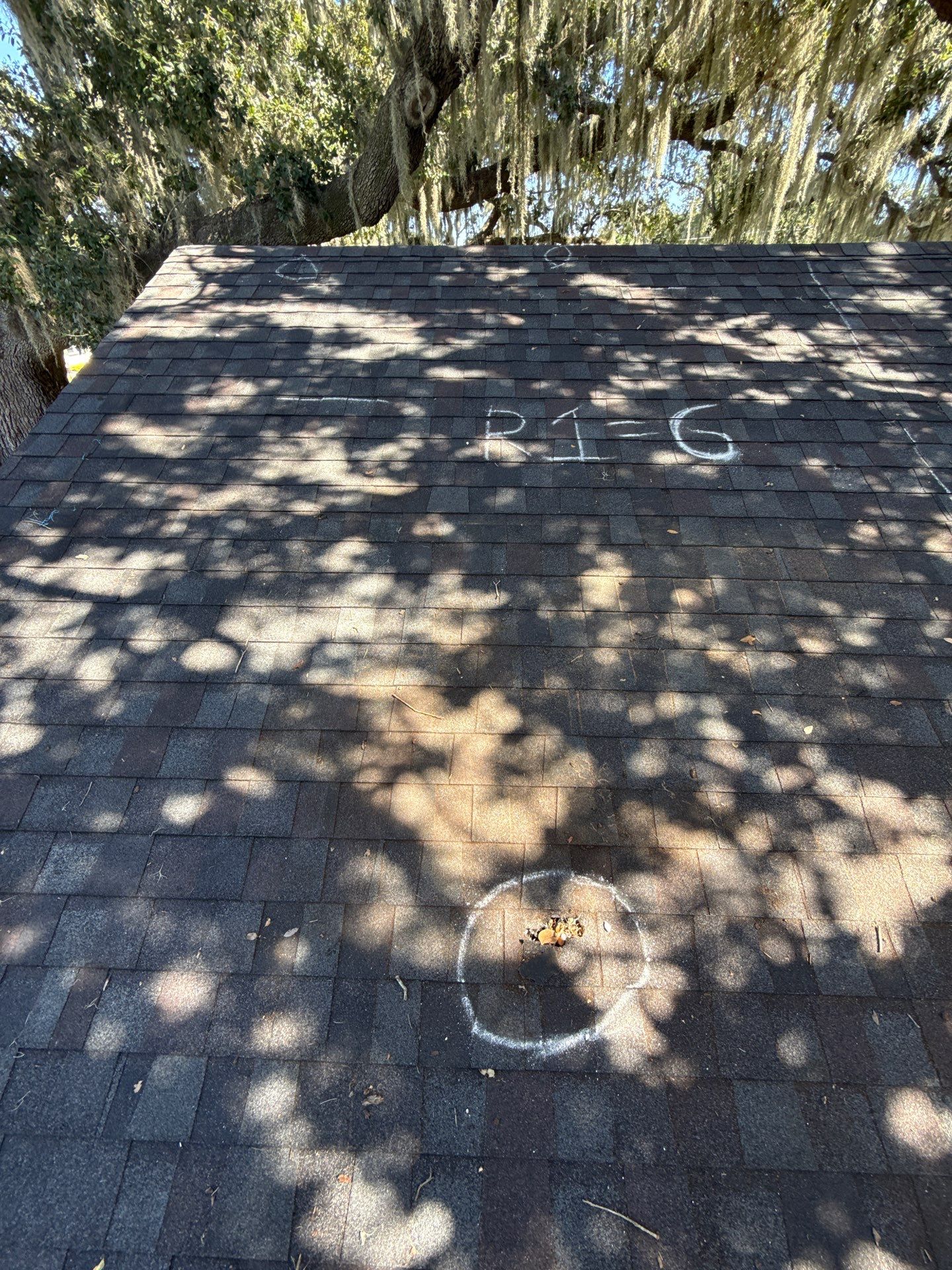 Project in Lakeland by You Restorations LLC DBA YOU-Home