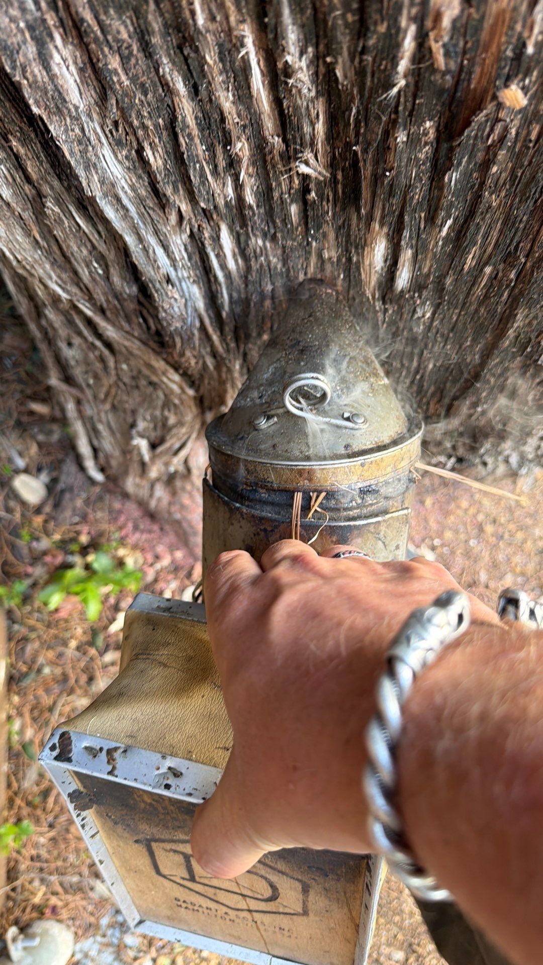 Cavern-Crack Tree Bees by Rockwall Honey Bee Company