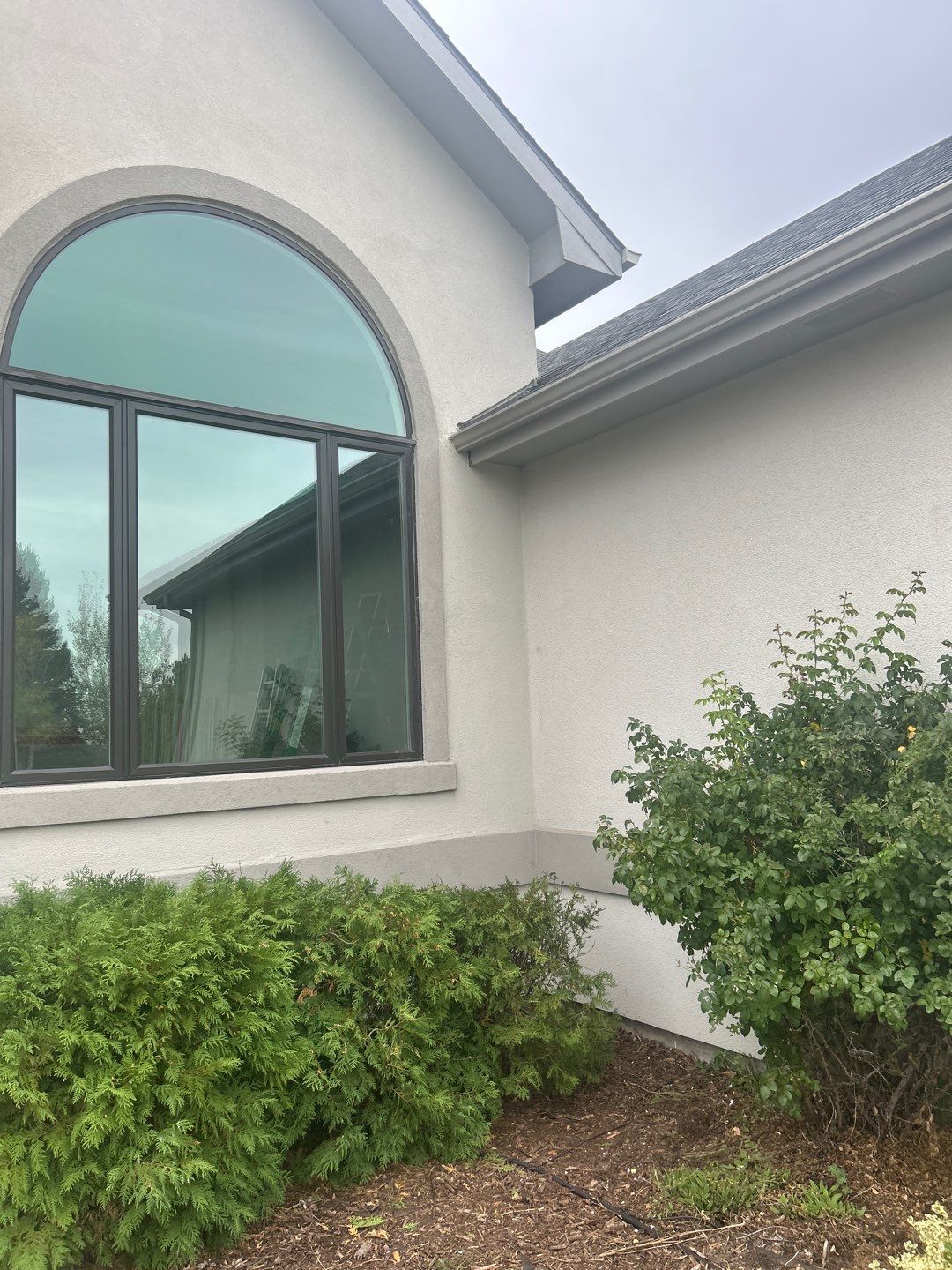 Project in Severance by Accountable Home Services