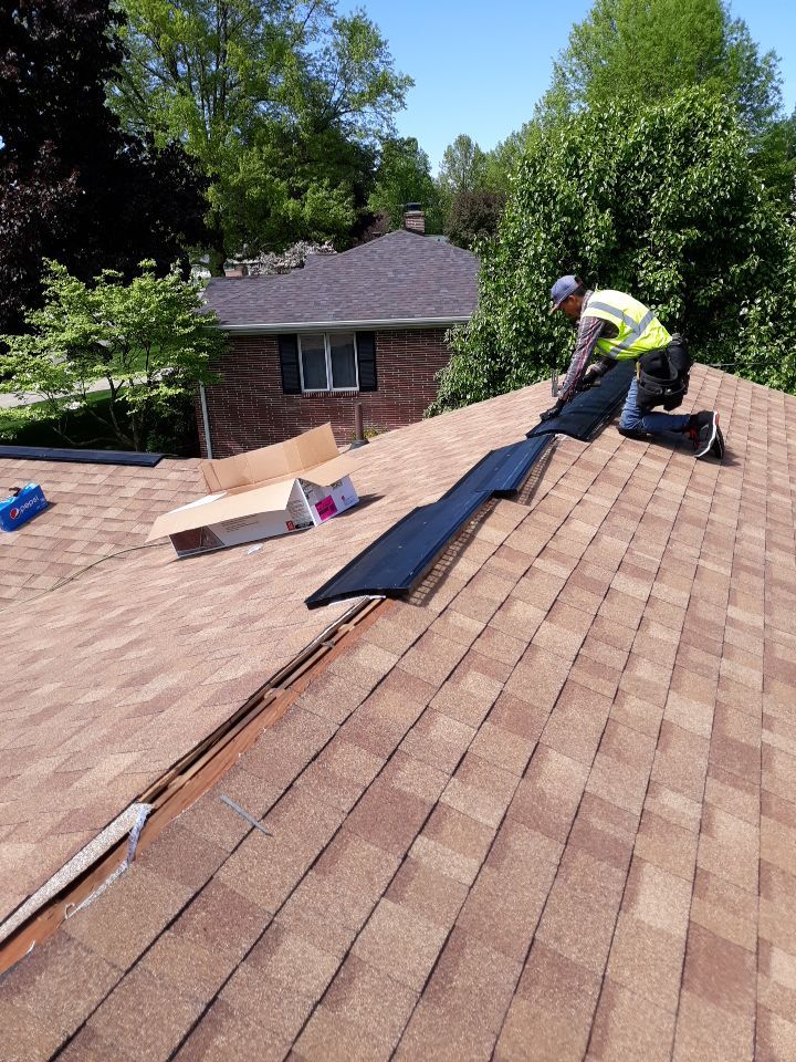 Melanie Selogy by Silver Leaf Contracting 