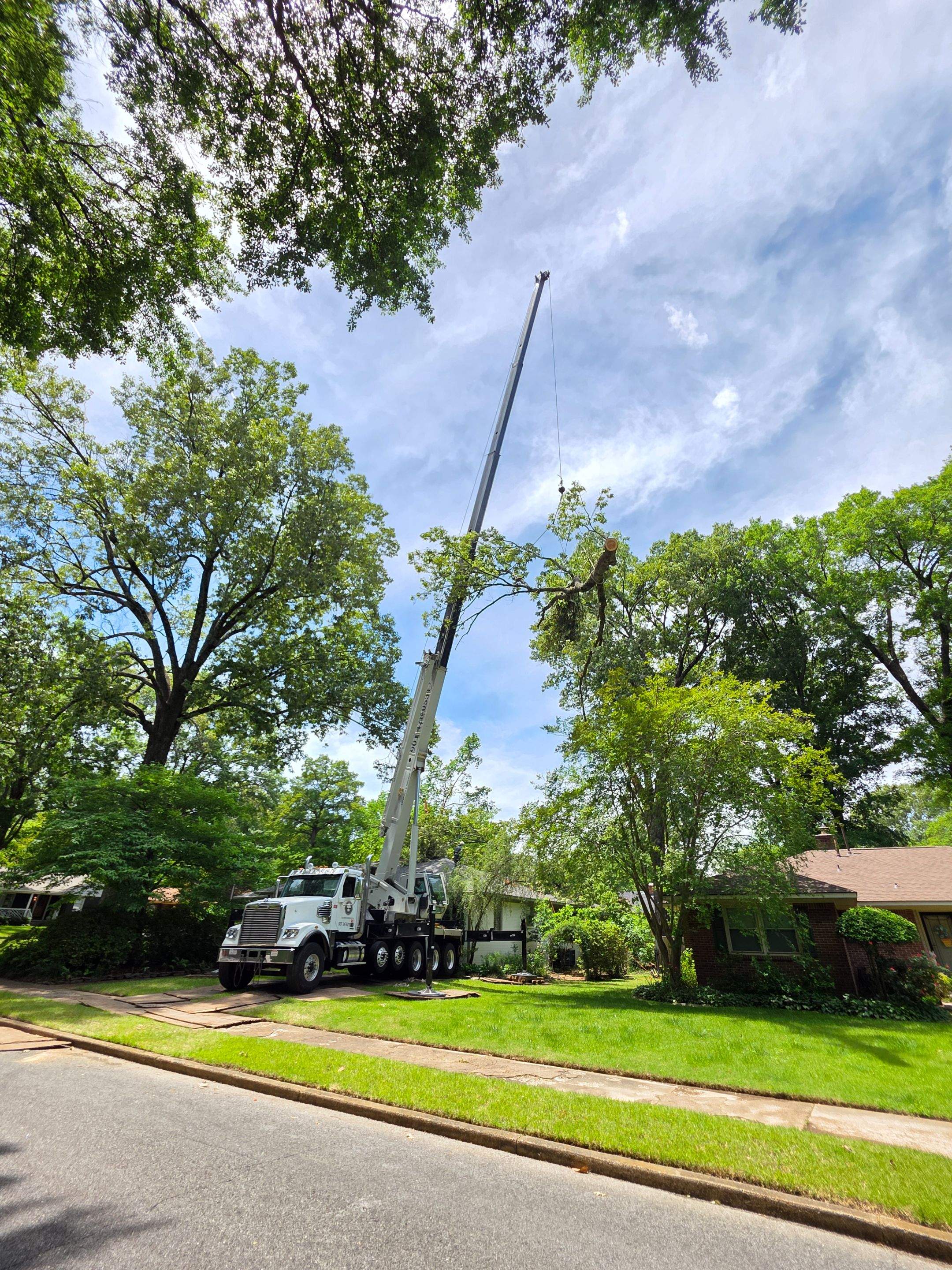 Tree Damage Restoration and Asphalt Shingle Roof Replacement in Memphis by Revival Roofing Services