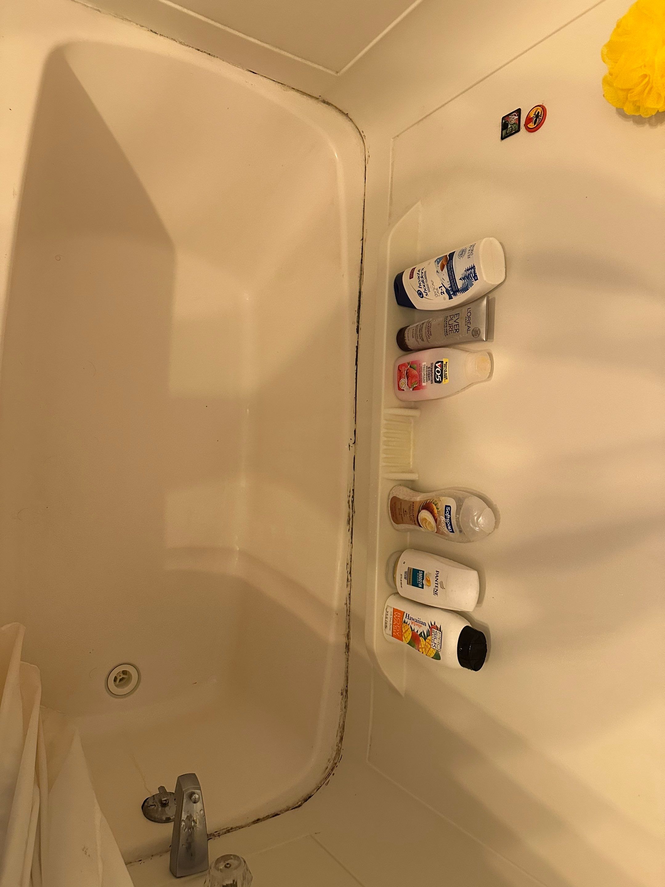 2460 Hull Rd Bathroom Renovation by Ironclad Builders LLC