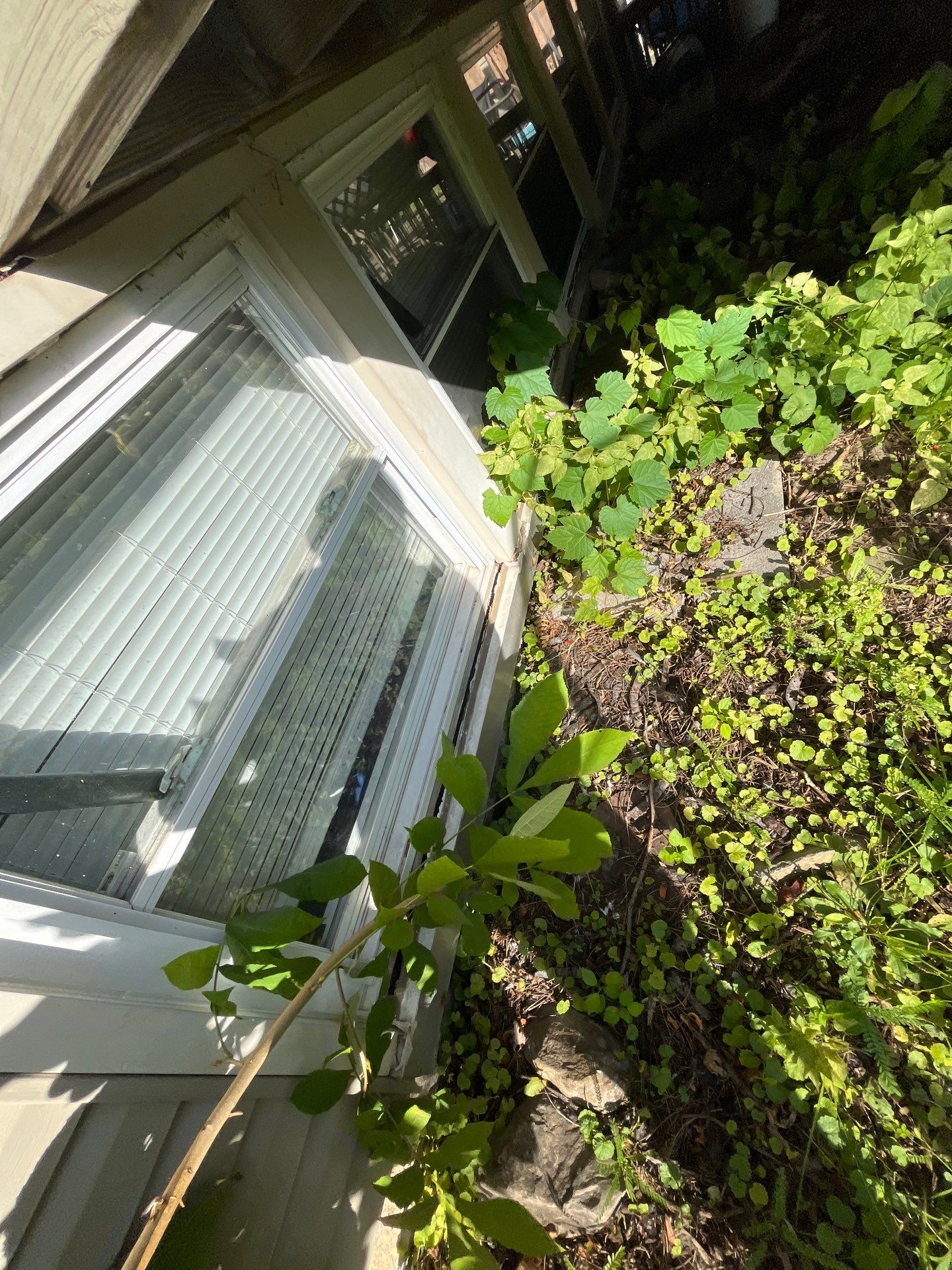 Inspección  by Mike home improvements 