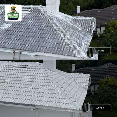 White Tile Roof Cleaning in Windermere