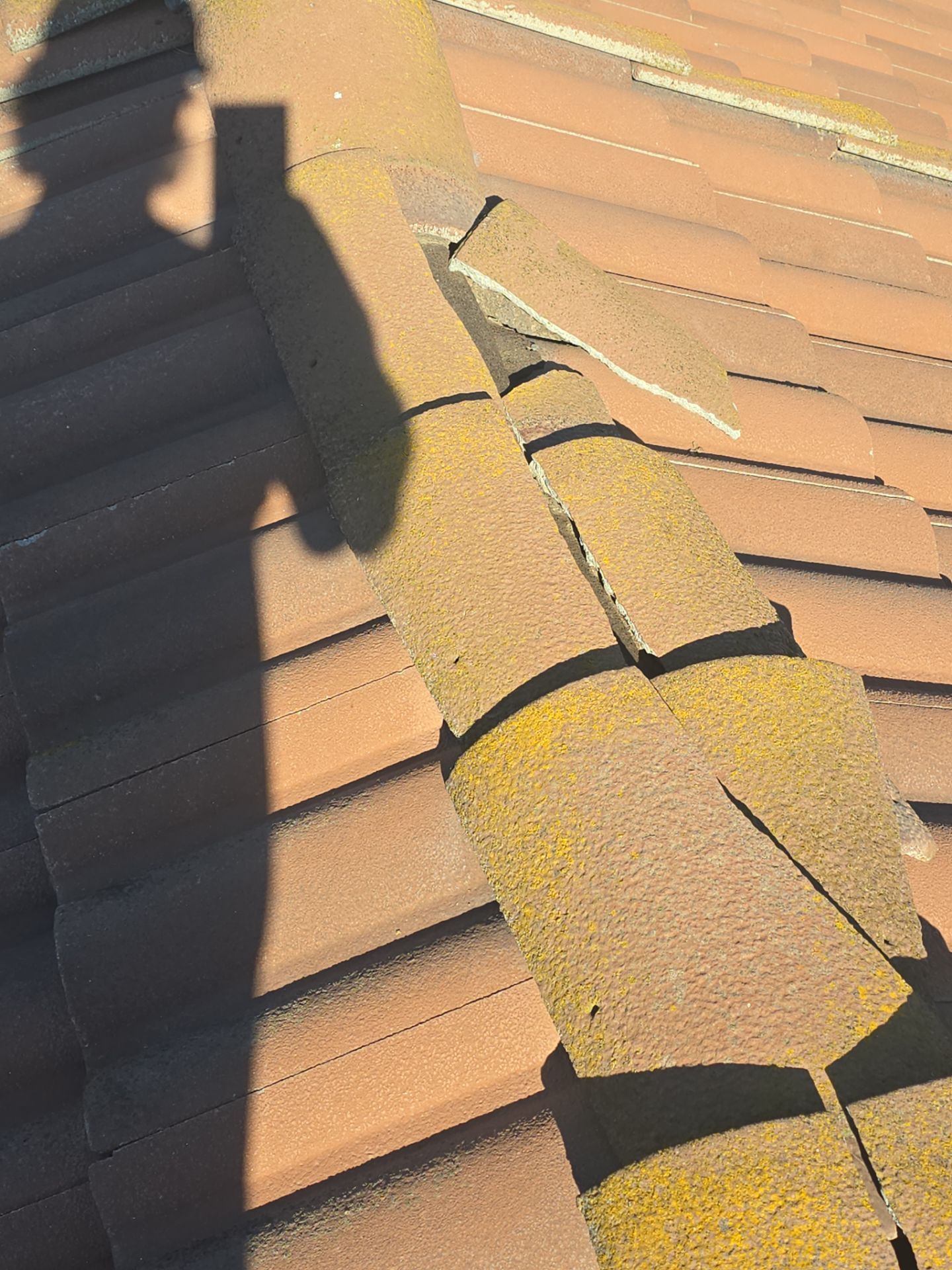 Tile Roof repair by Grandmark Service Company