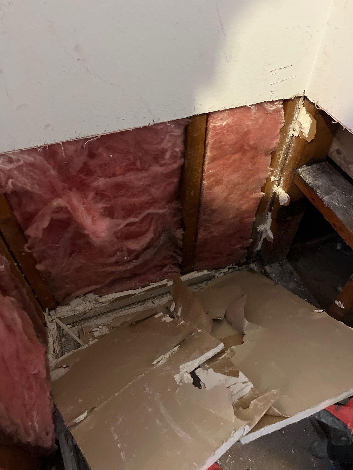 Mold Remediation & Rebuild in Laguna Niguel by One Stop Source