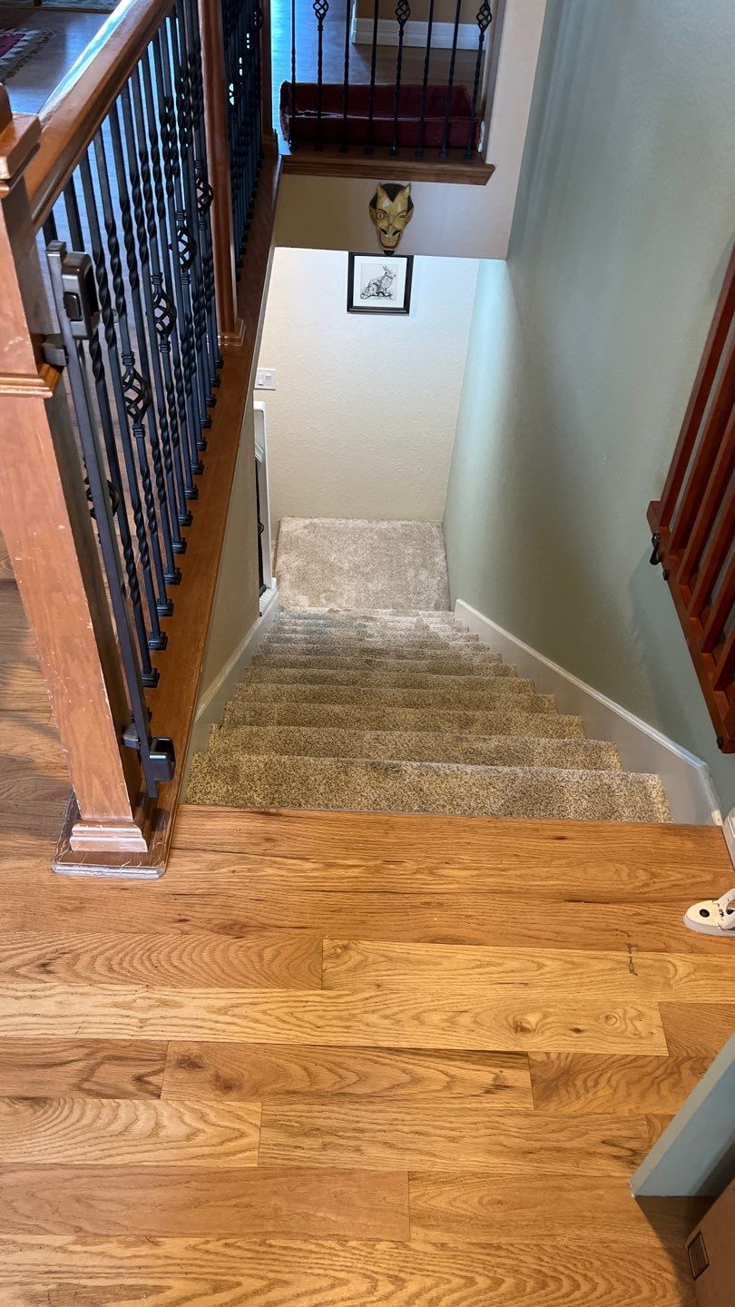 Mold Remediation by Accountable Home Services