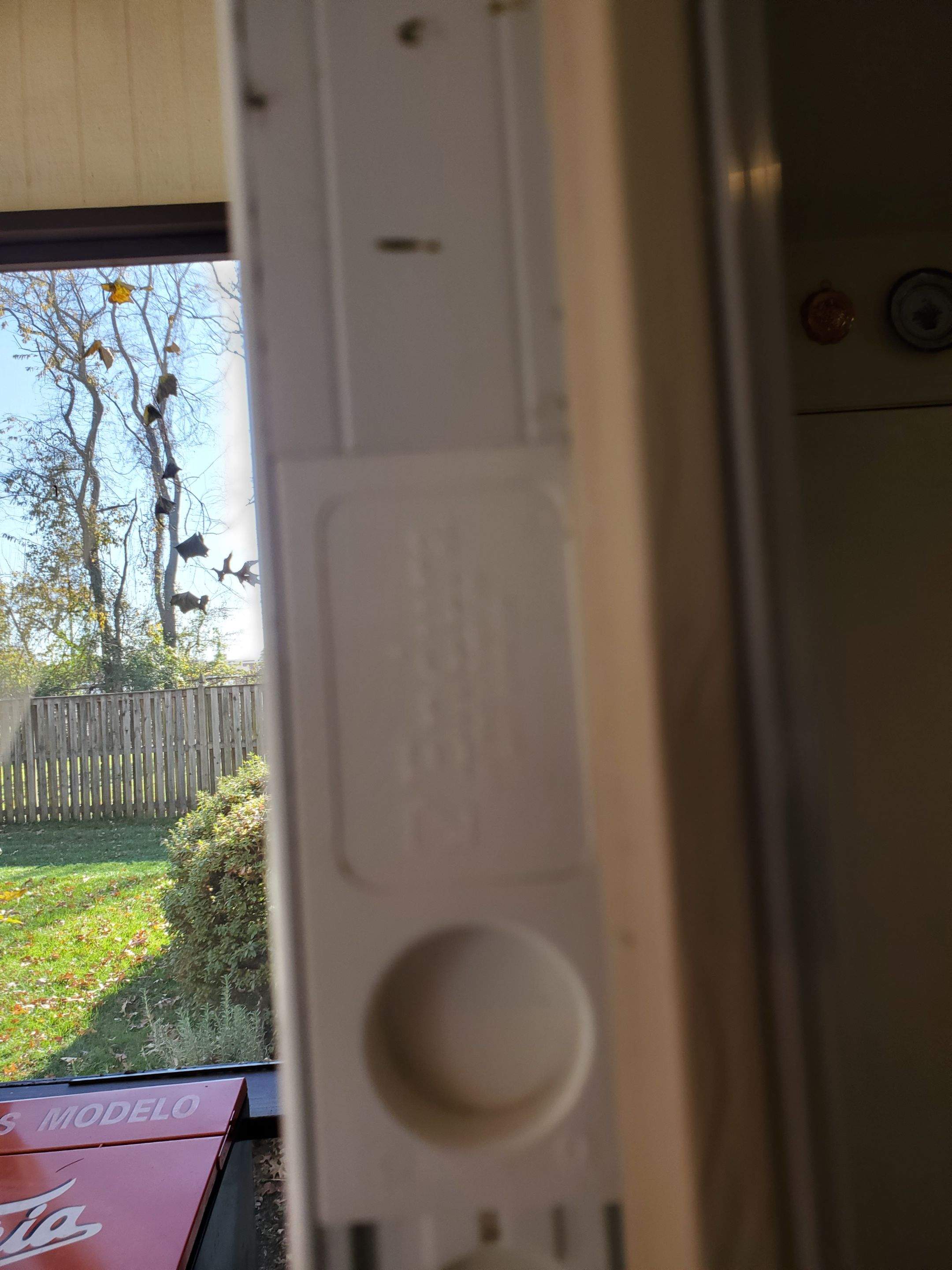 laundry and Cabana bath addition, Vienna, VA by Fairfax Contractors, LLC