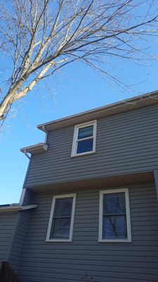 Tree Trimming using Tree Pruing