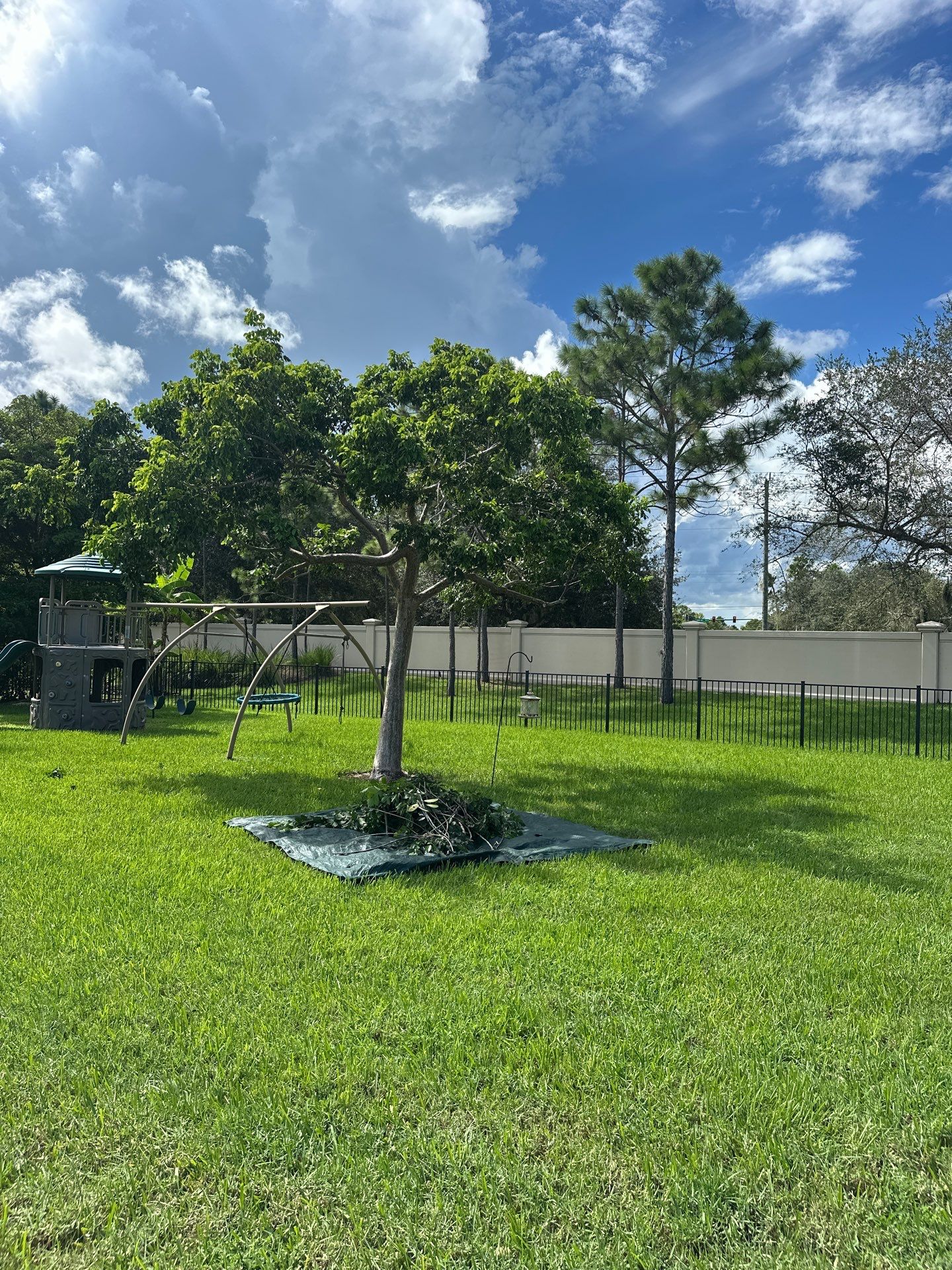 From Overgrown to Picture-Perfect - Stuart Refresh by Alpha Zeta Enterprises Inc