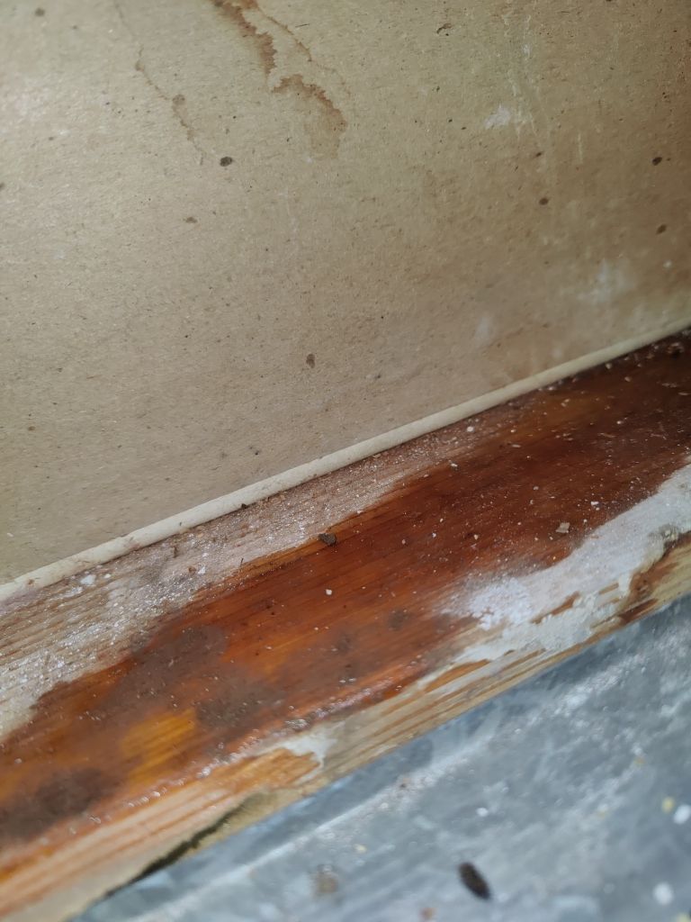 Water Damage by Accountable Home Services