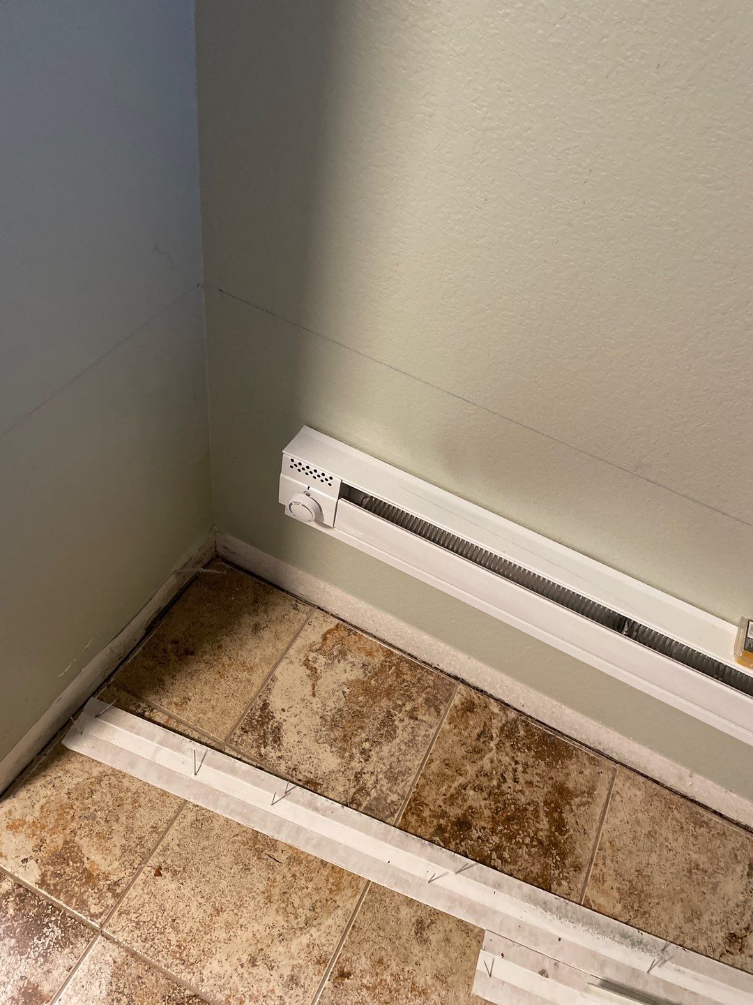 Water Damage and Mold Remediation by Accountable Home Services