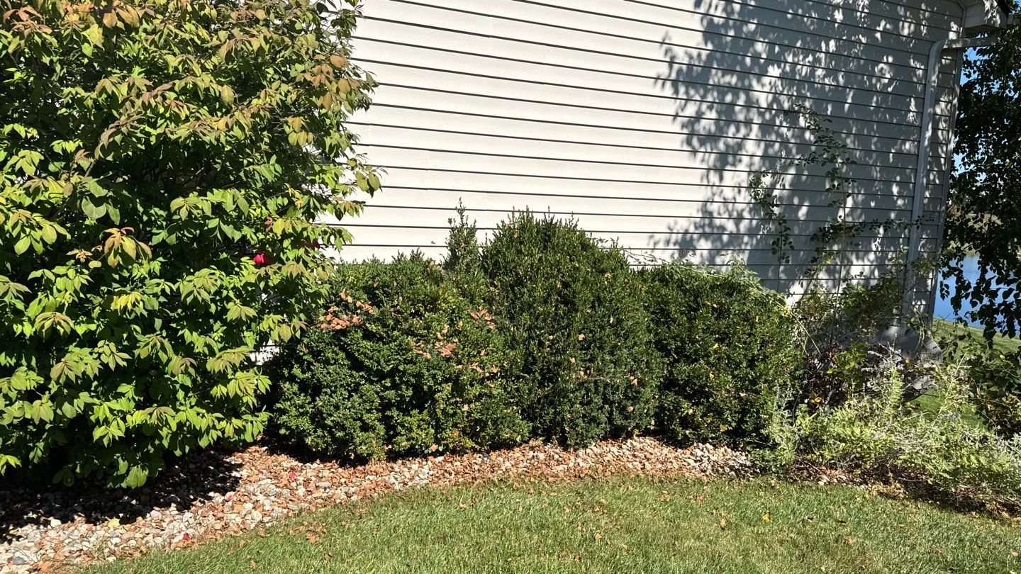 Project in Fort Wayne by Carrs lawn and landscape