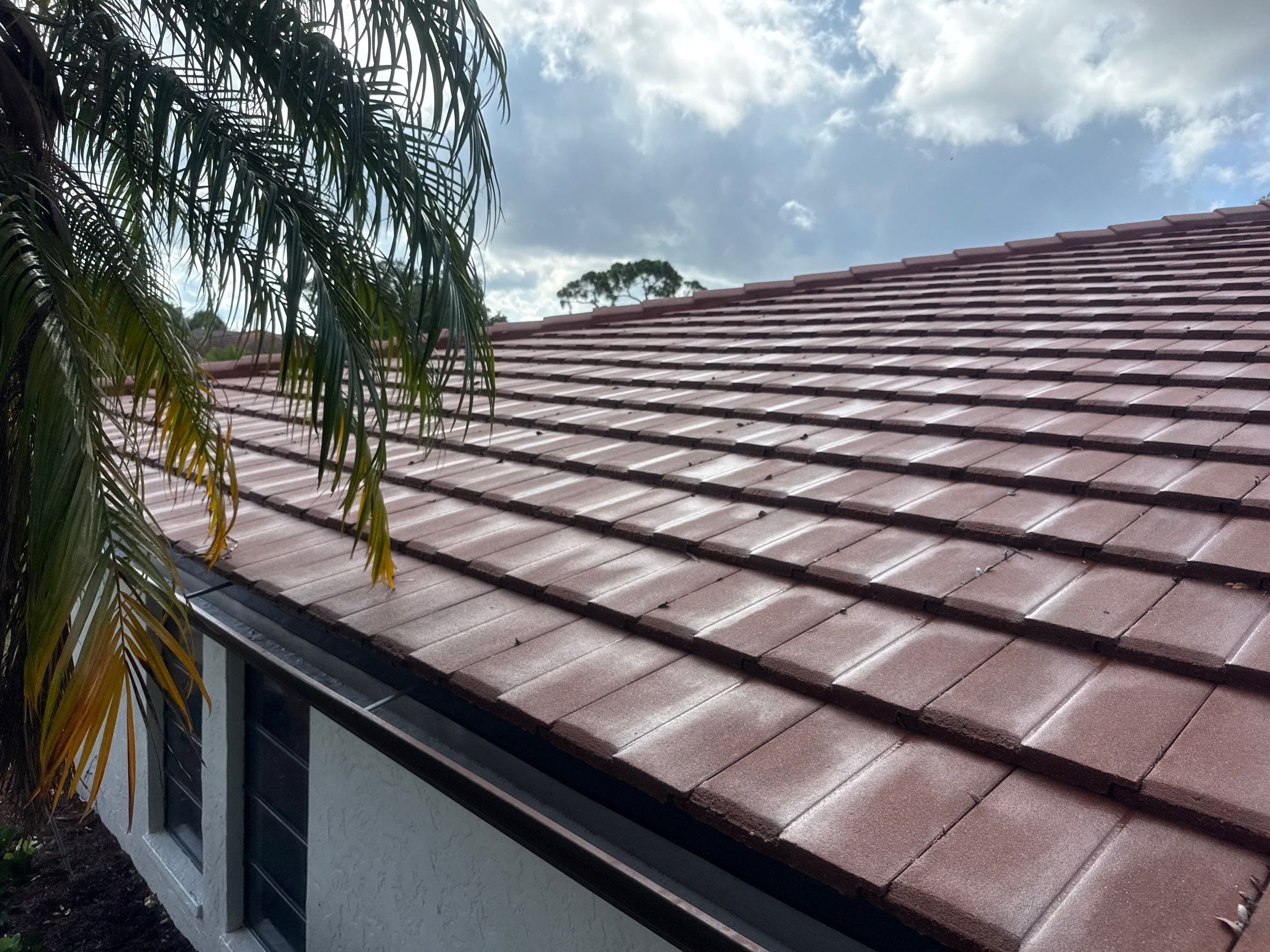 Tile Roof, Driveway & Patio Cleaning – Vivienda at Bradenton I by Sunshine AquaWash