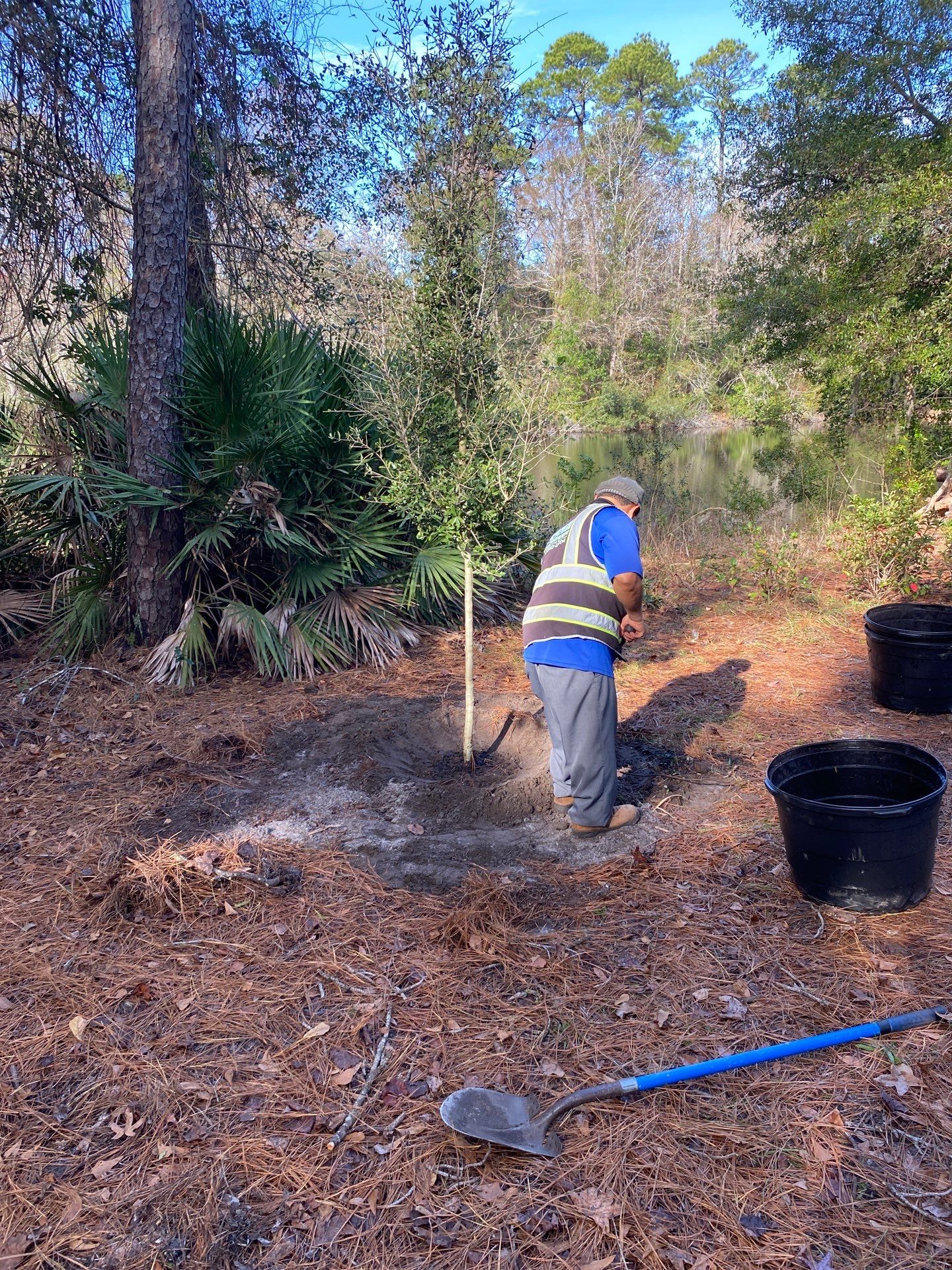 Deerwood Resident | Tree Installation by ProGreen Services