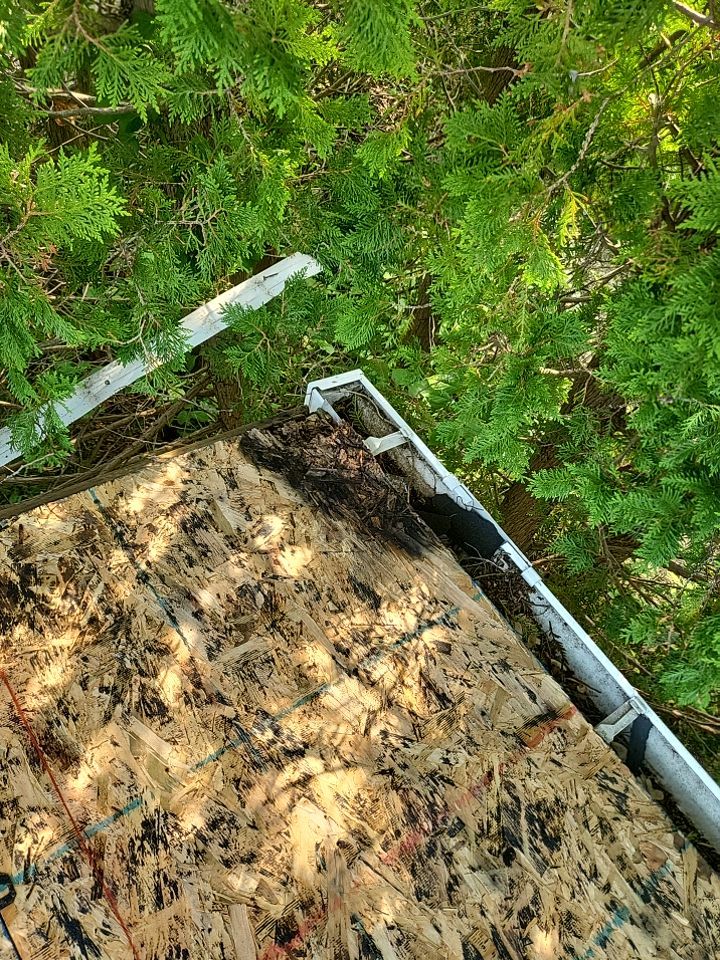 ATLAS PINNACLE COLOR: MORNING HARVEST by Eagle Eye Roofing