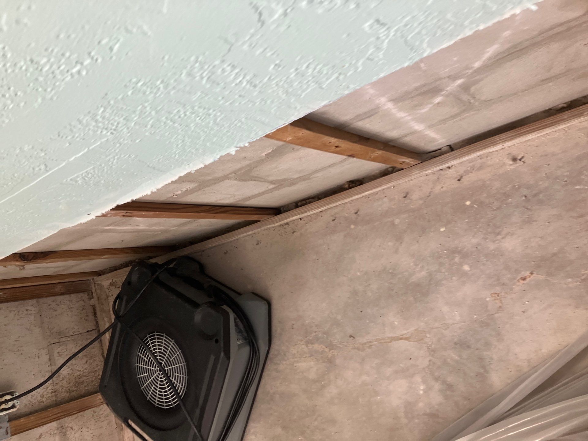 St. Pete Water Damage Mitigation by Ampm Restoration Services