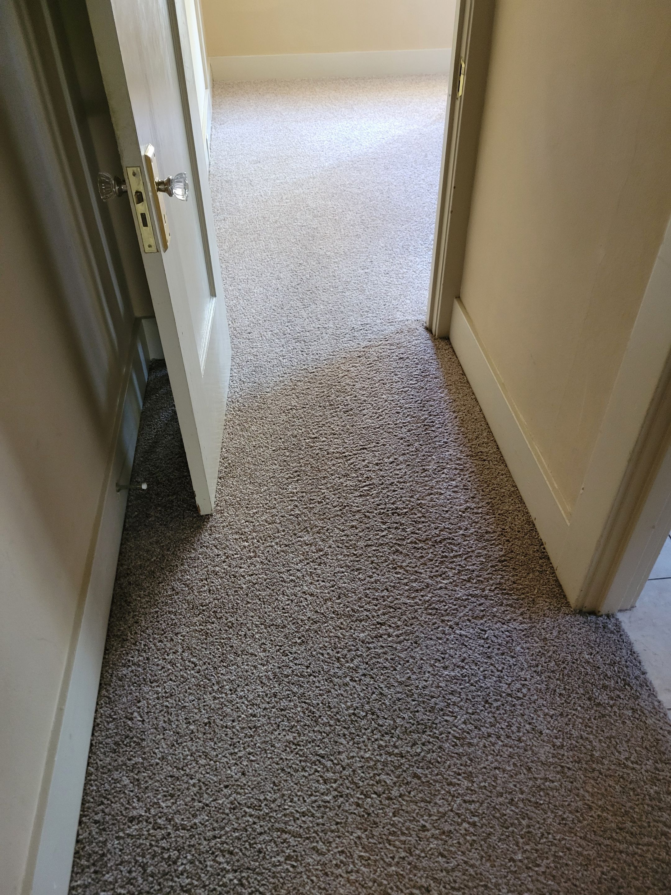 Pet Treatment and Carpet Cleaning by Ardent Carpet Restore LLC