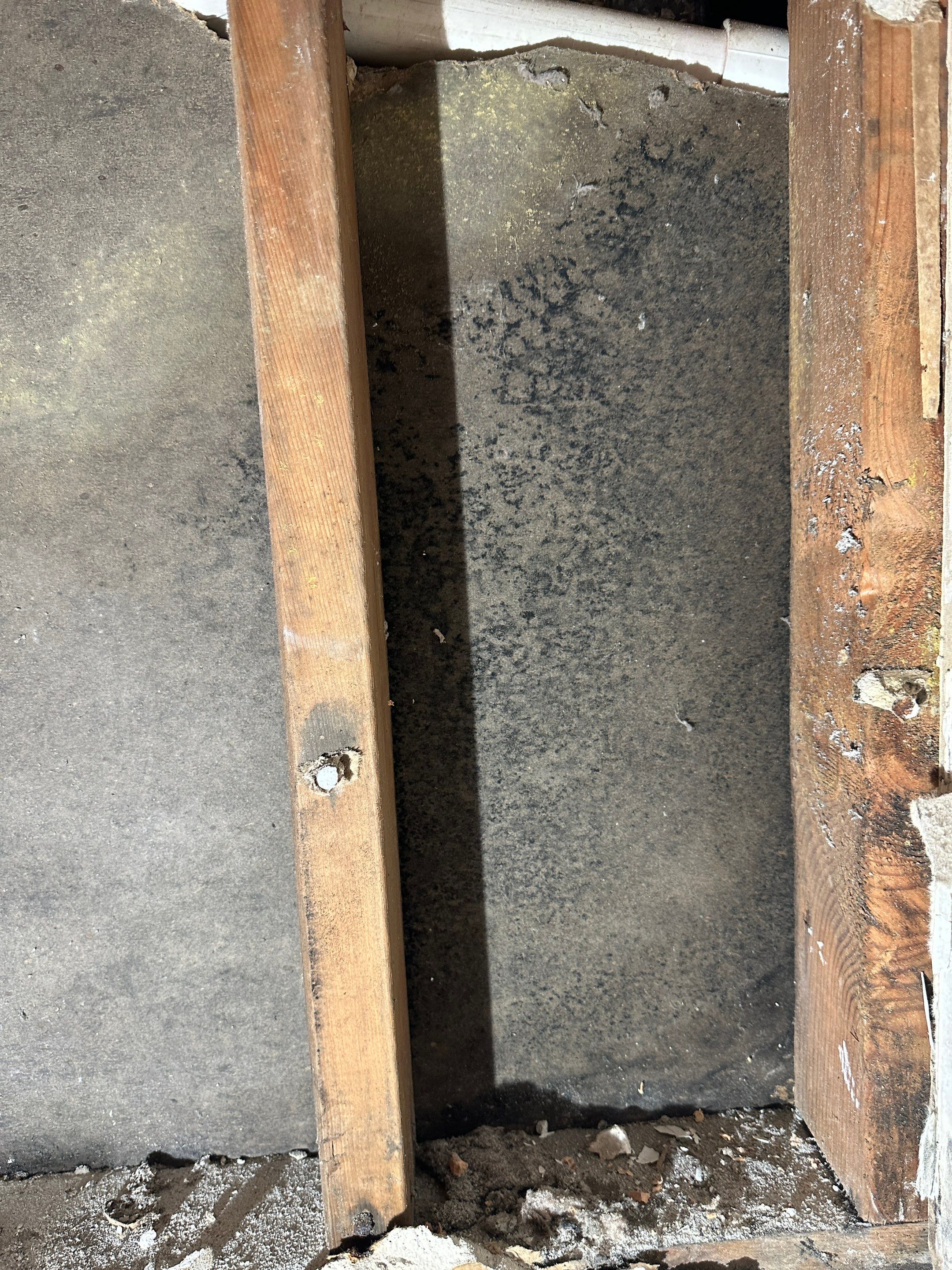 Basement Mold Remediation by Home Guarantee, LLC