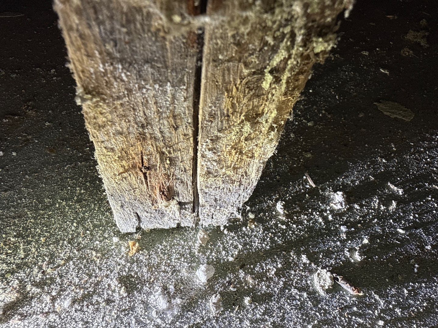 Post‑Remediation Clearance Test & Corrective Mold Remediation, Dover, DE. by Healthy Home Solutions