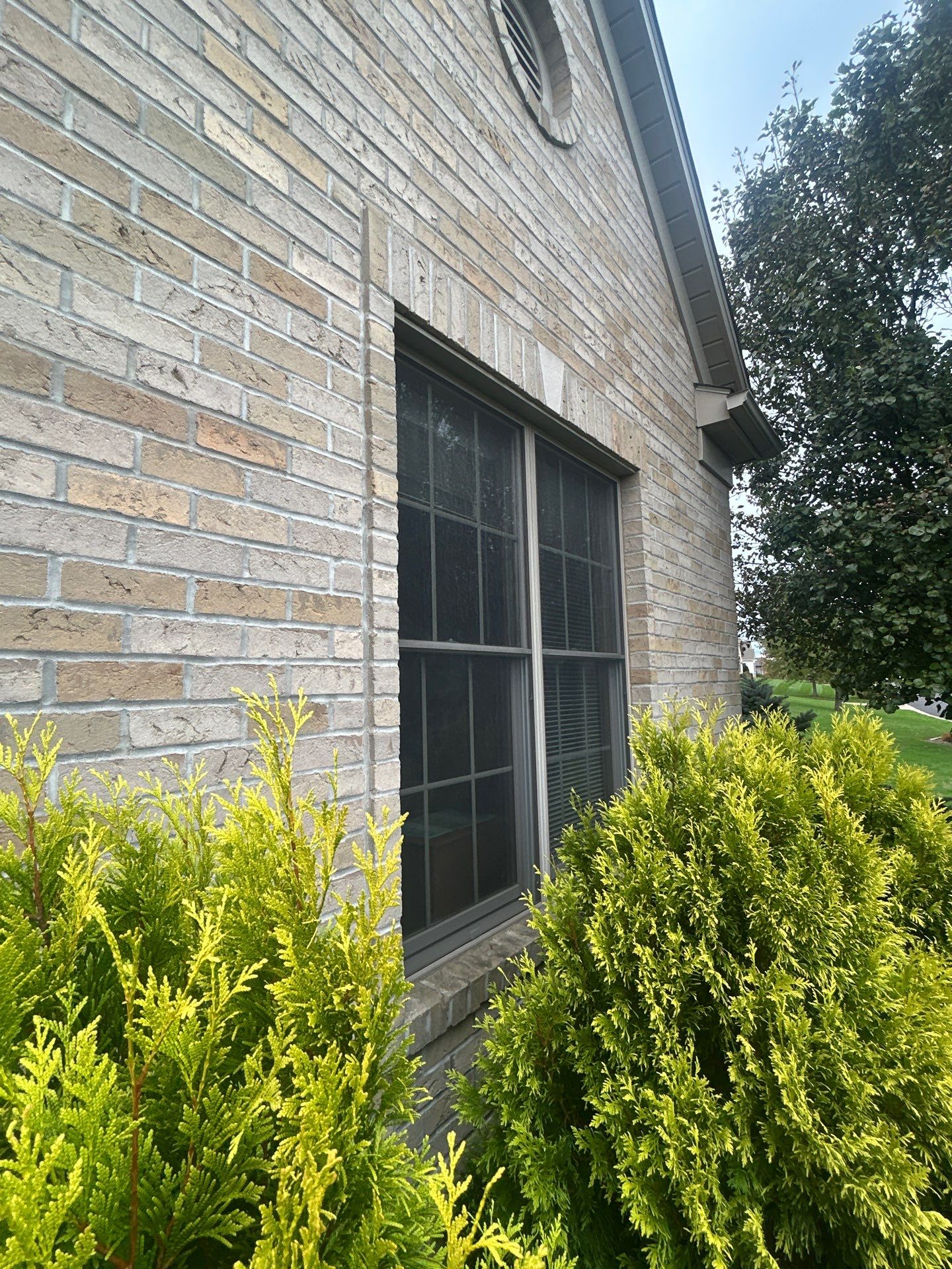 Windows in Canton  by Ohio State Windows