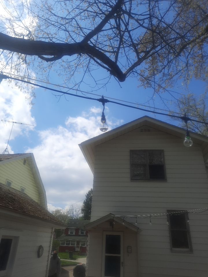 Tree Trimming using Tree Pruing by Mike Jones & Sons Tree Service LLC 