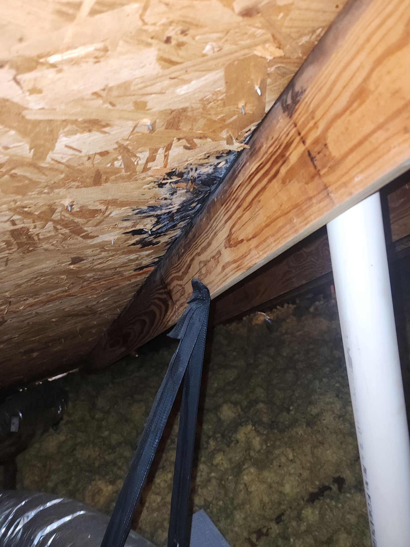 Hail Damage using Owen's Corning Duration (Lifetime) Shingles by Roof Repair Company