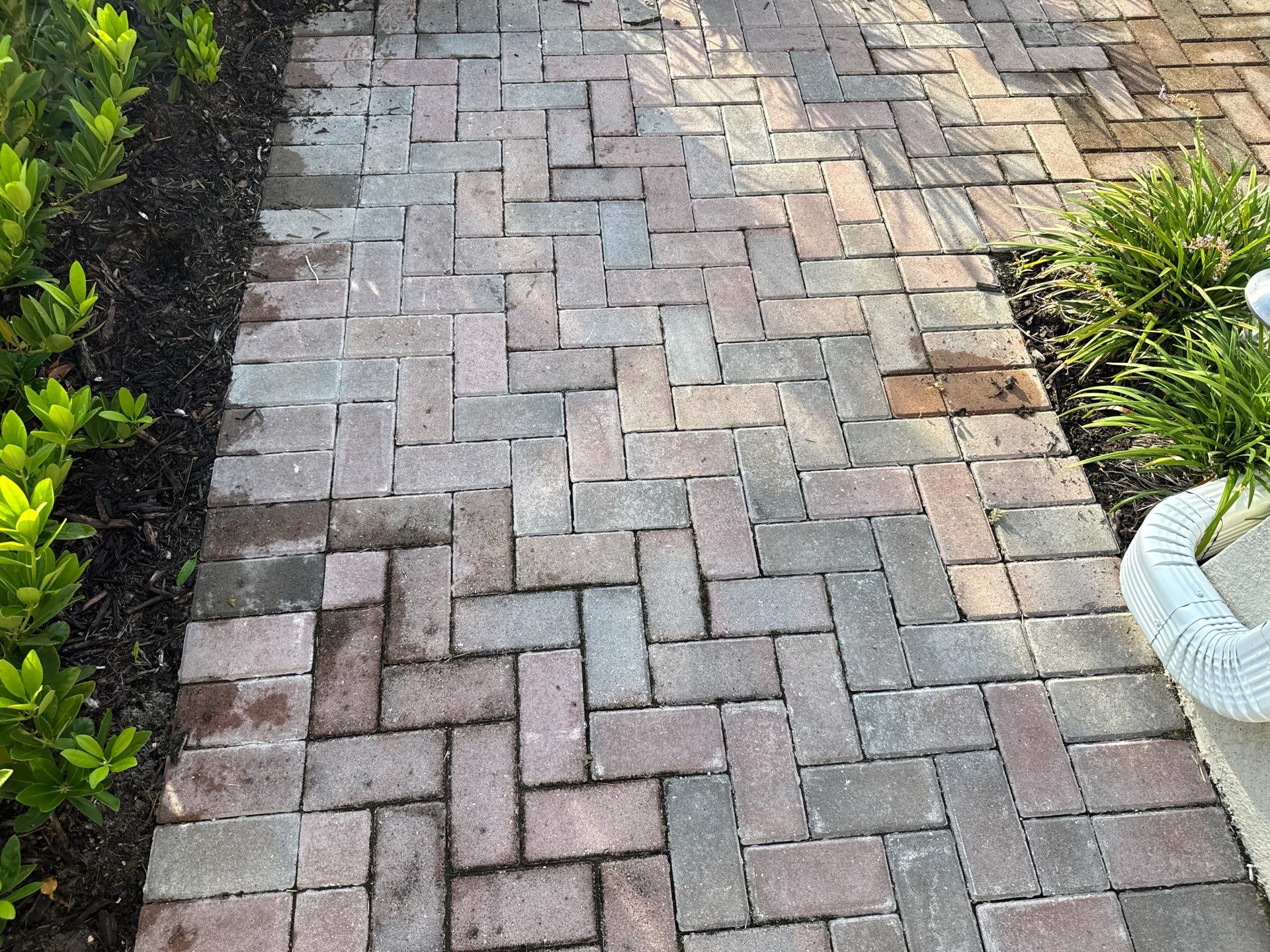 Complete House Wash, Driveway & Lanai Cleaning – Trevesta, Palmetto FL by Sunshine AquaWash