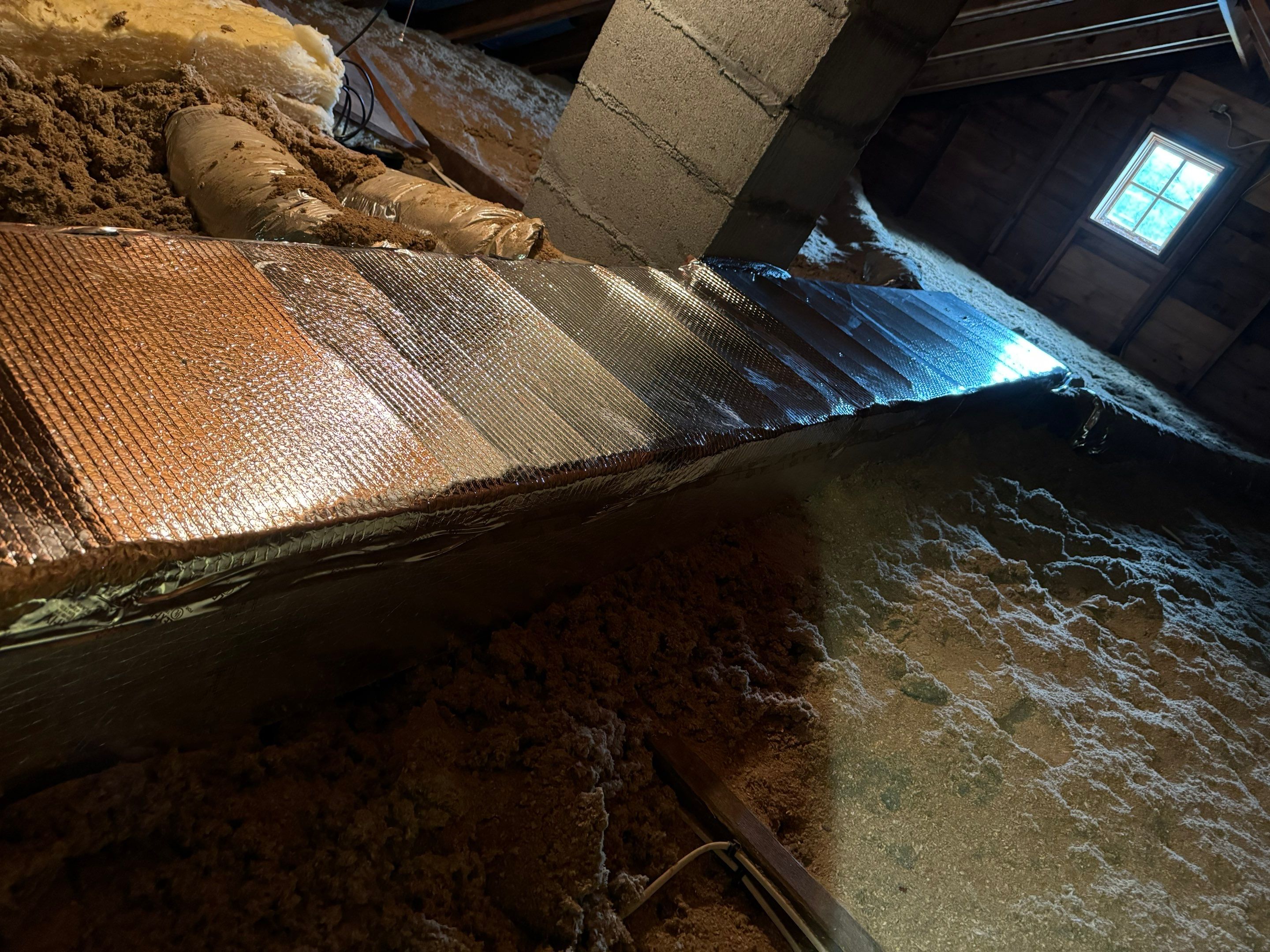 Mold Remediation (Basement) using Home Guarantee by Home Guarantee, LLC