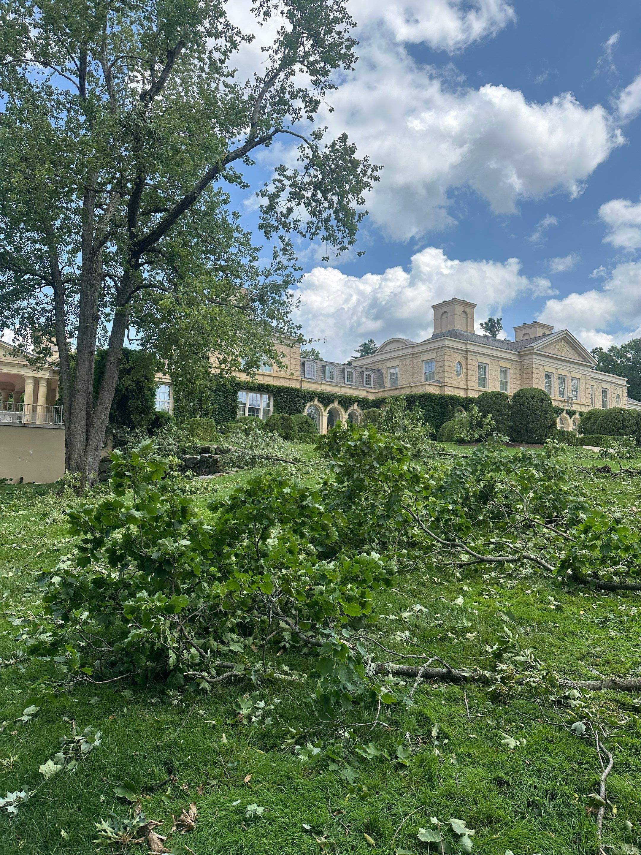 Emergency Tornado Damage Cleanup and Hazardous Tree Removal in Harrison by Fox Hill Luxury Real Estate Services