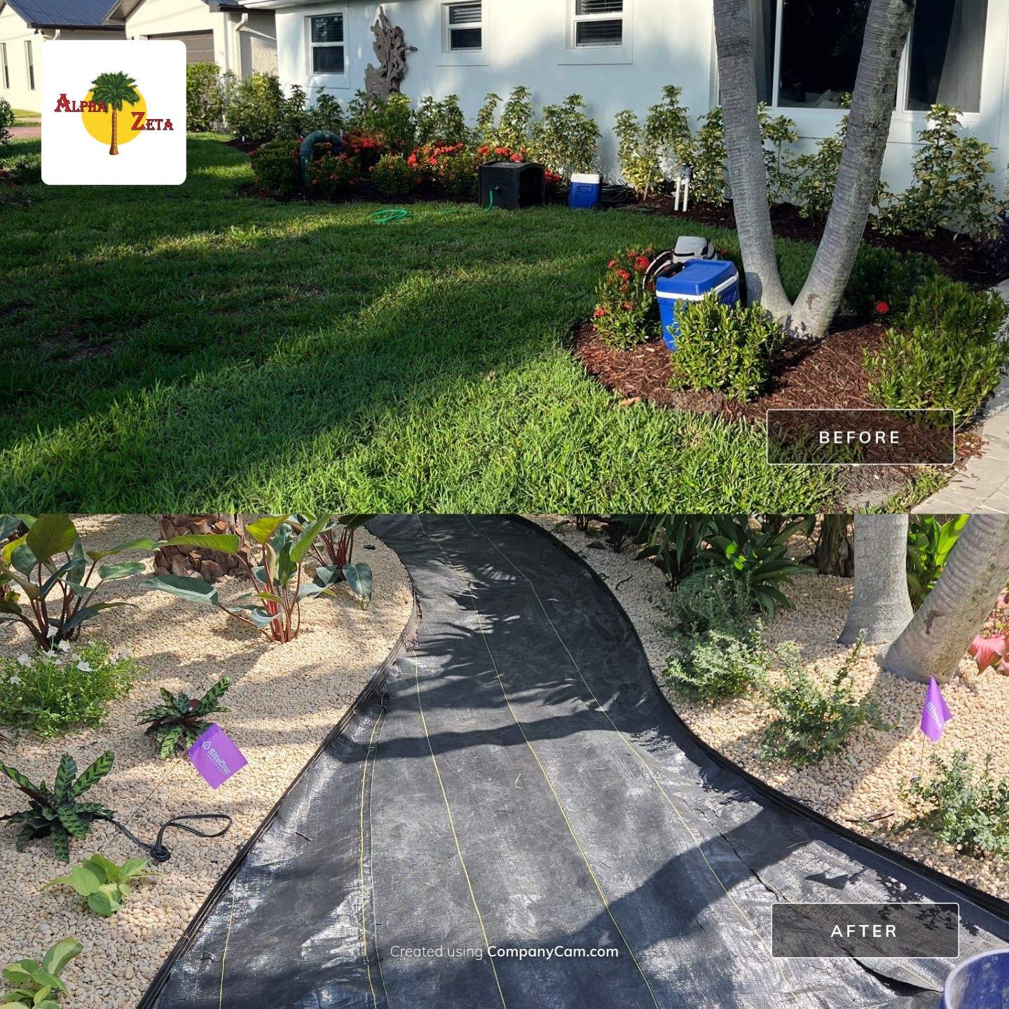“Green Year-Round — Turf Perfection in Palm City” by Alpha Zeta Enterprises Inc