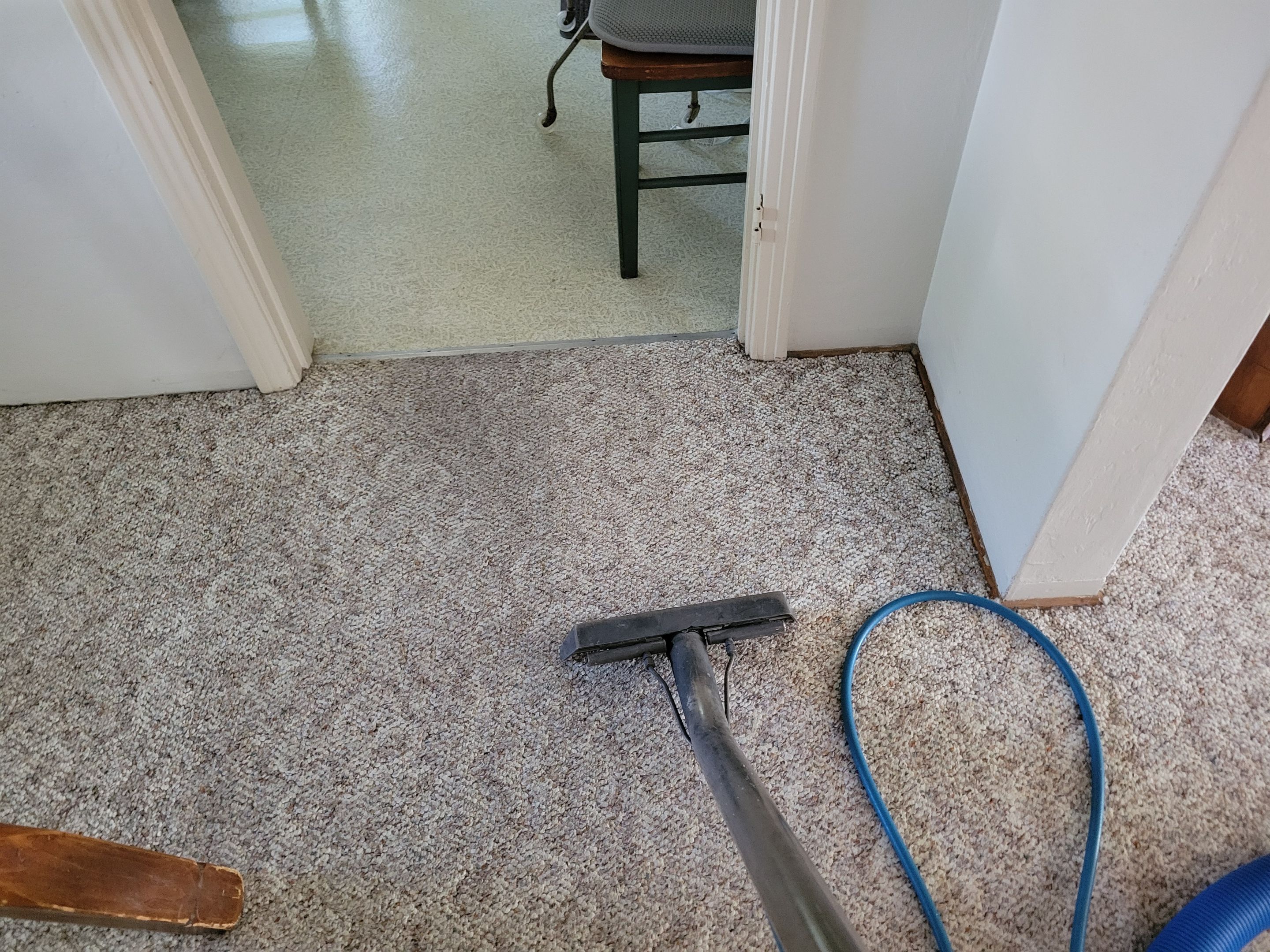 Patterned, Looped-Berber Carpet Cleaning by Ardent Carpet Restore LLC
