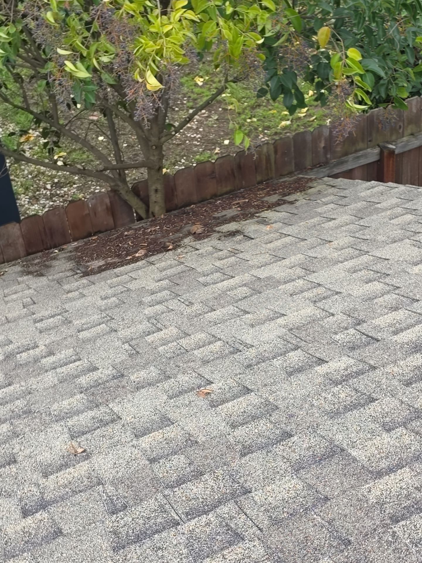 Roof Rejuvenation using Roof Maxx Treatment by Roof Maxx of Folsom