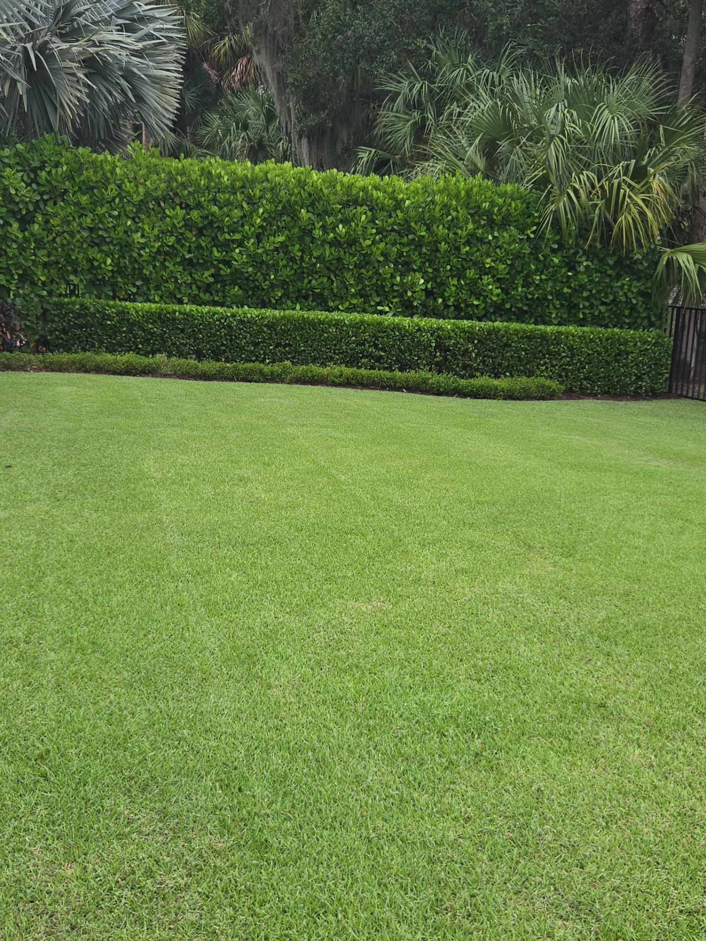 Highlands Reserve Refresh β Precision, Planting & Perfection by Alpha Zeta Enterprises Inc