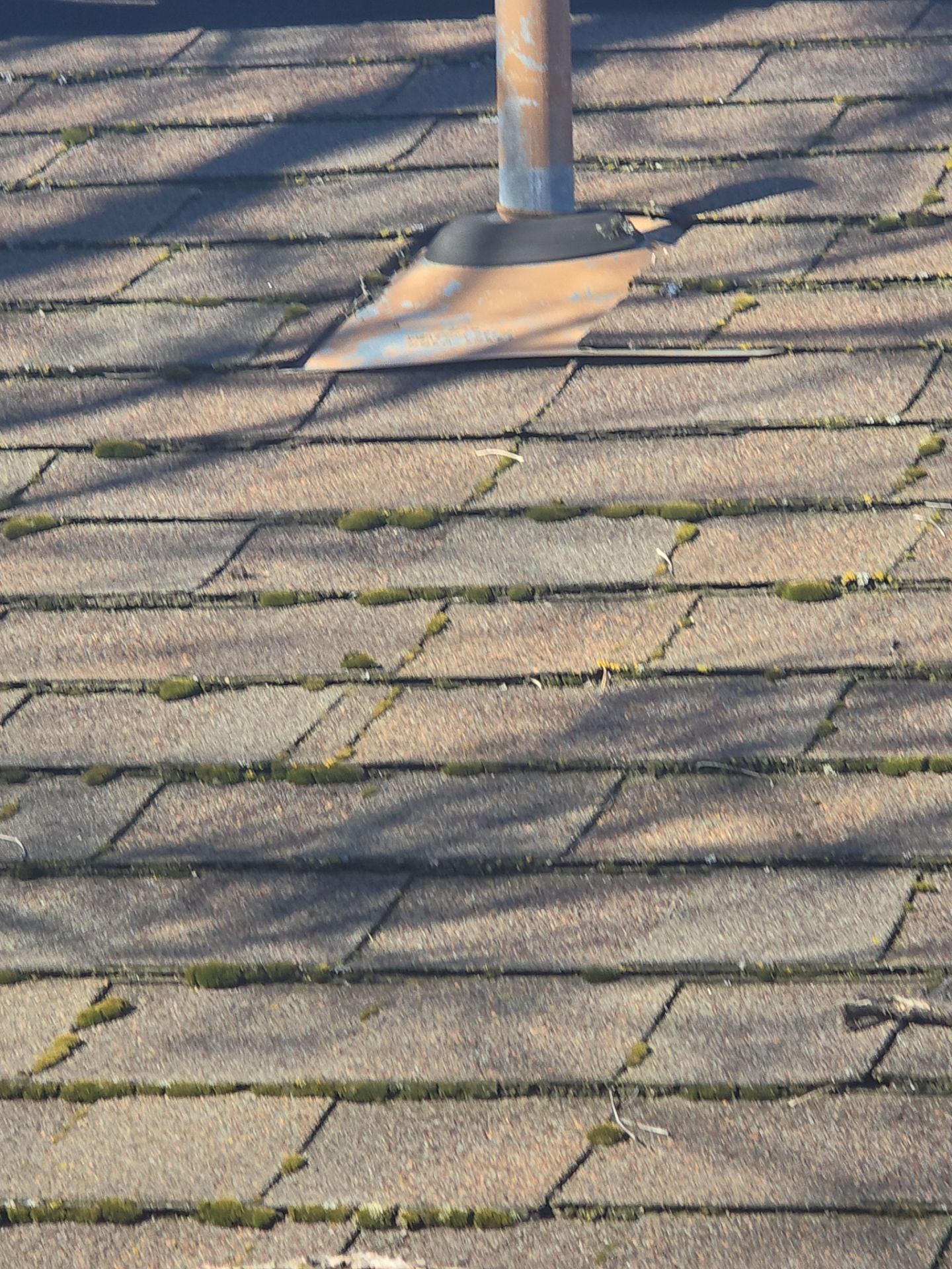 Roof Rejuvenation using Roof Maxx Treatment by Roof Maxx of Folsom