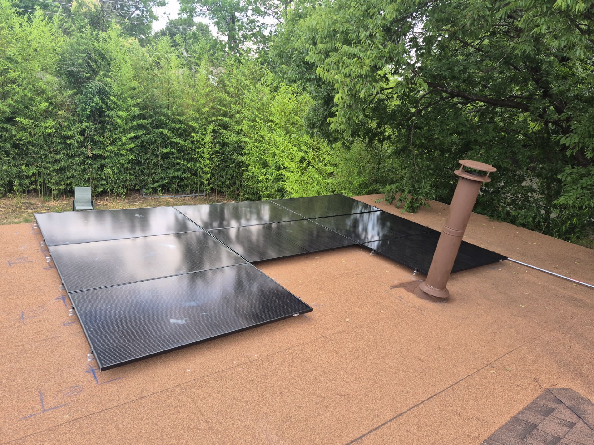 Larry in Dallas by Trojan Solar