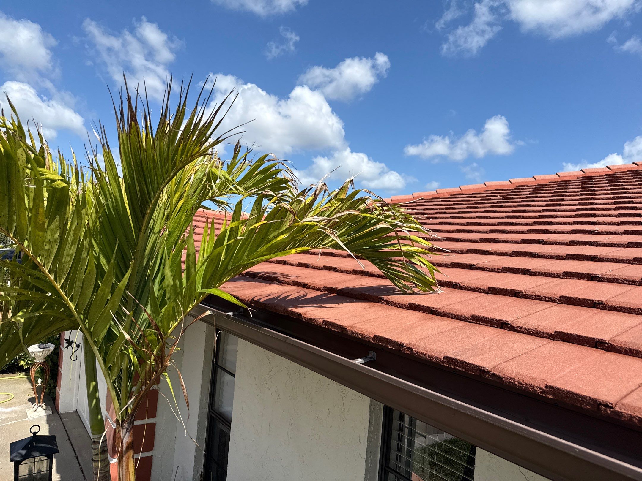 Tile Roof Cleaning in Vivienda at Bradenton, FL | No Roof Walking Method by Sunshine AquaWash