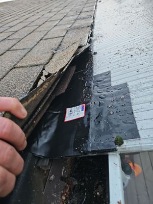 Roof Repair Project in Seattle
