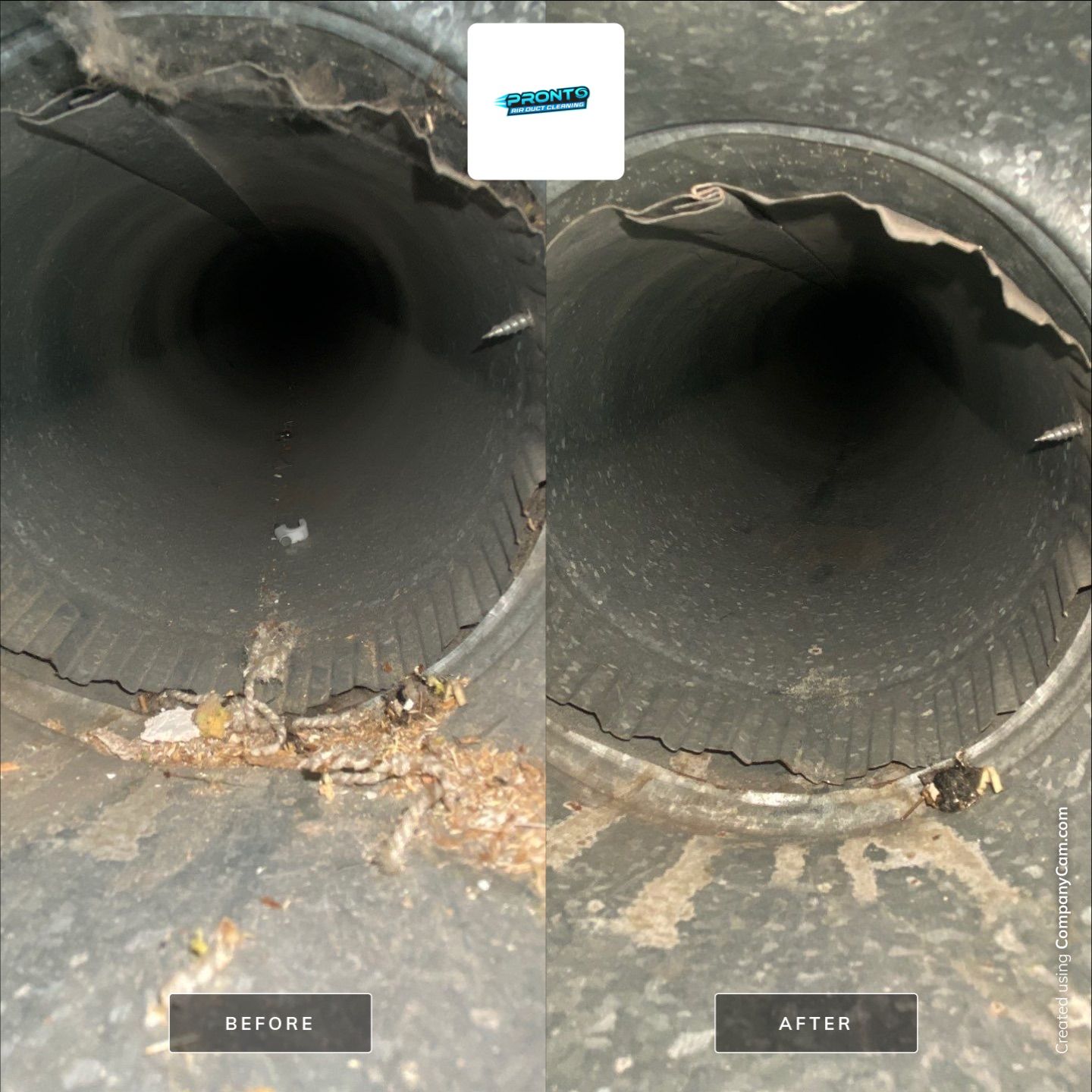Air Duct Cleaning Manassas VA by Pronto Air Duct Cleaning