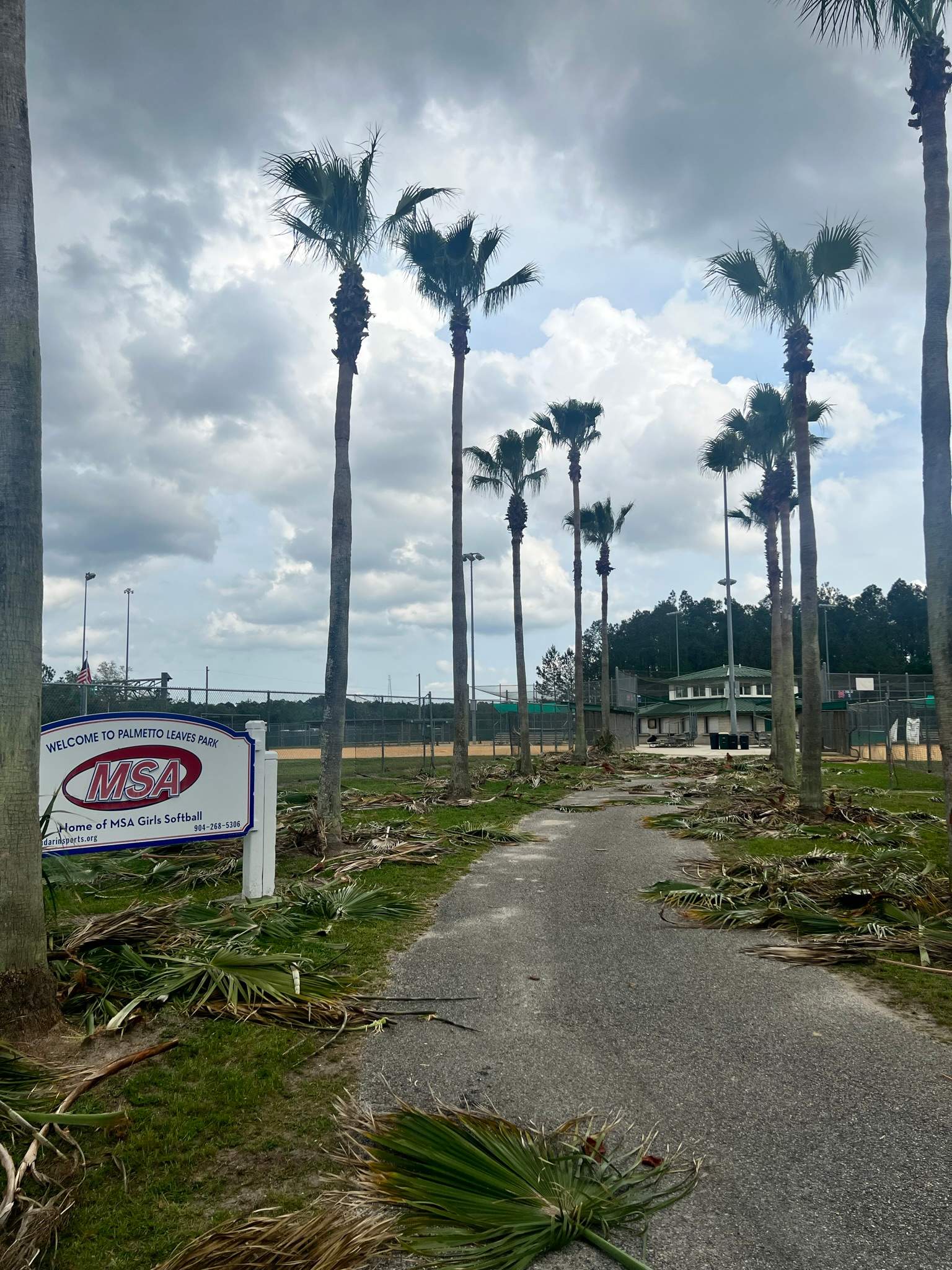 Palm Trimming | Palmetto Leaves Softball Park by ProGreen Services