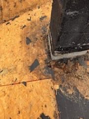 Project in Holland by Serene Construction