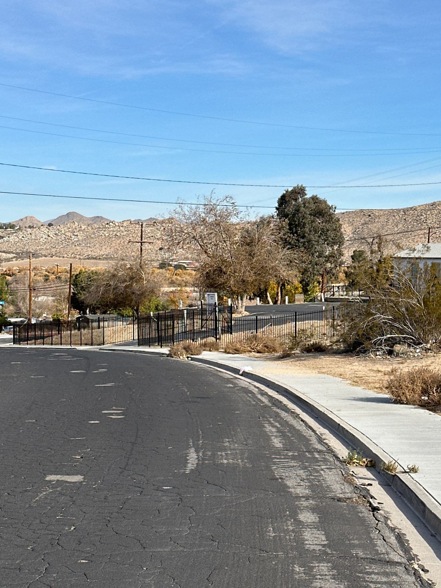 Wrought Iron Fence by Fence Guys Inc. 